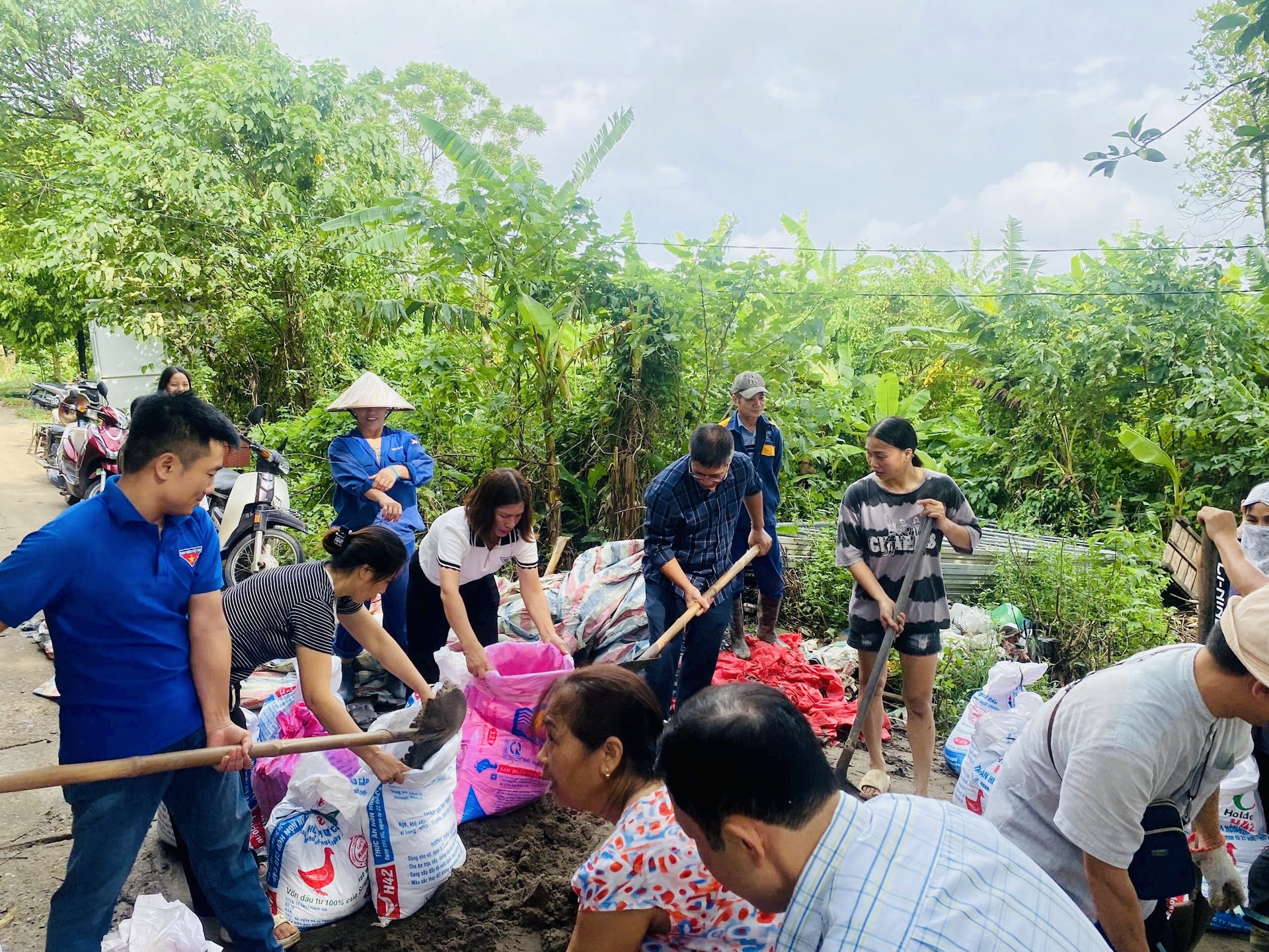 Hà Nội: Công an, bộ đội xuống đồng gặt lúa giúp dân sau mưa bão- Ảnh 9.