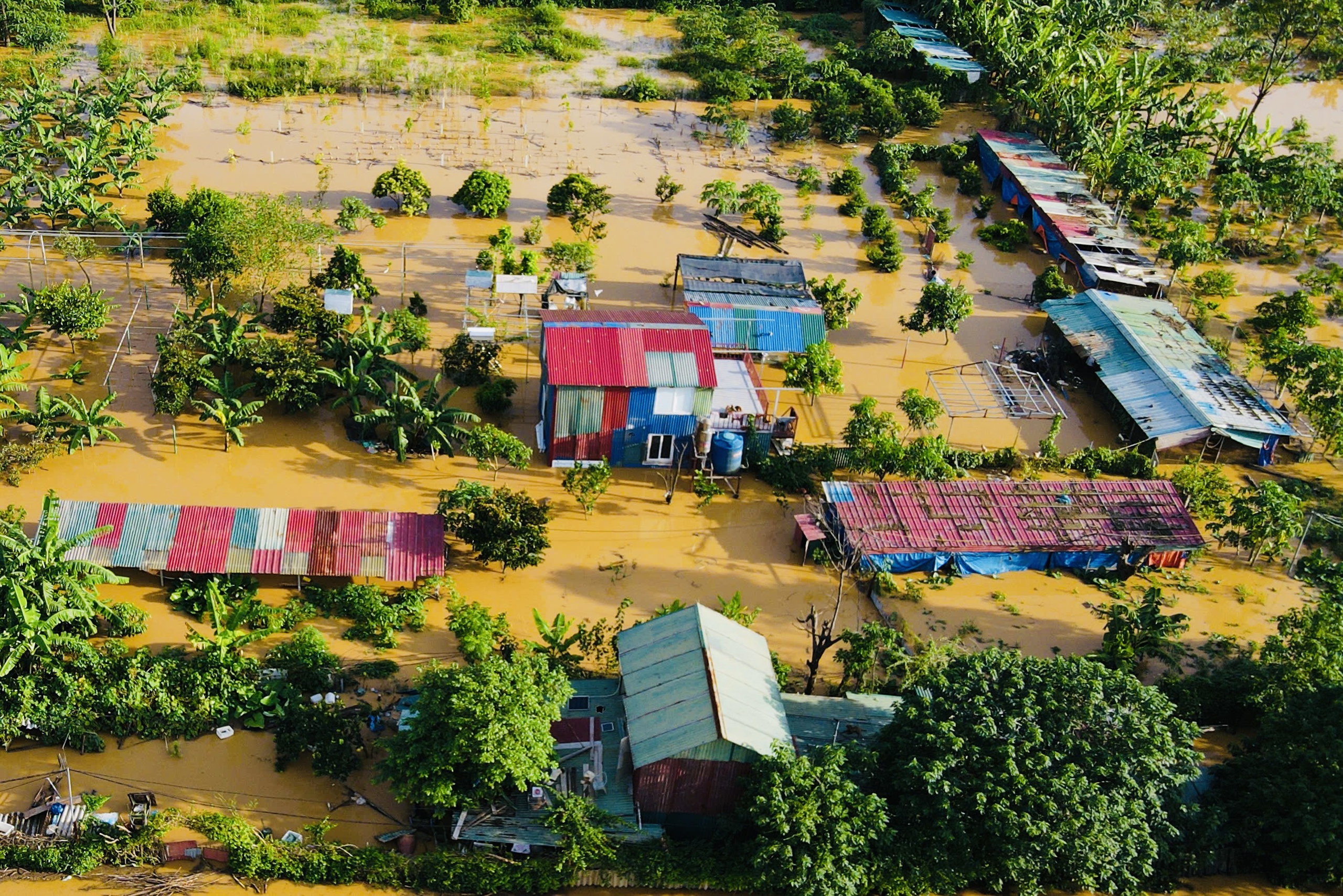 Hà Nội: Nước sông Hồng tràn lên đường, người dân phải đi lại bằng thuyền- Ảnh 12.