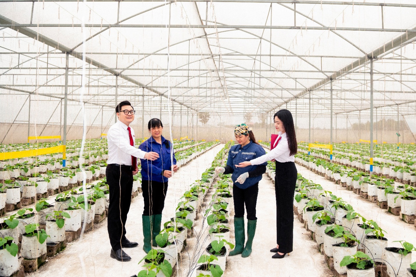Agribank đẩy mạnh sắp xếp tổ chức mạng lưới, tăng cường dư địa phát triển “tam nông”- Ảnh 3.