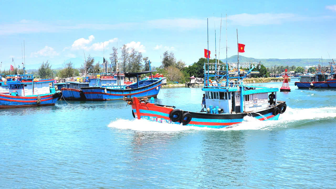 Thuyền trưởng ở Quảng Ngãi bị phạt gần 700 triệu đồng do 8 vi phạm- Ảnh 1.