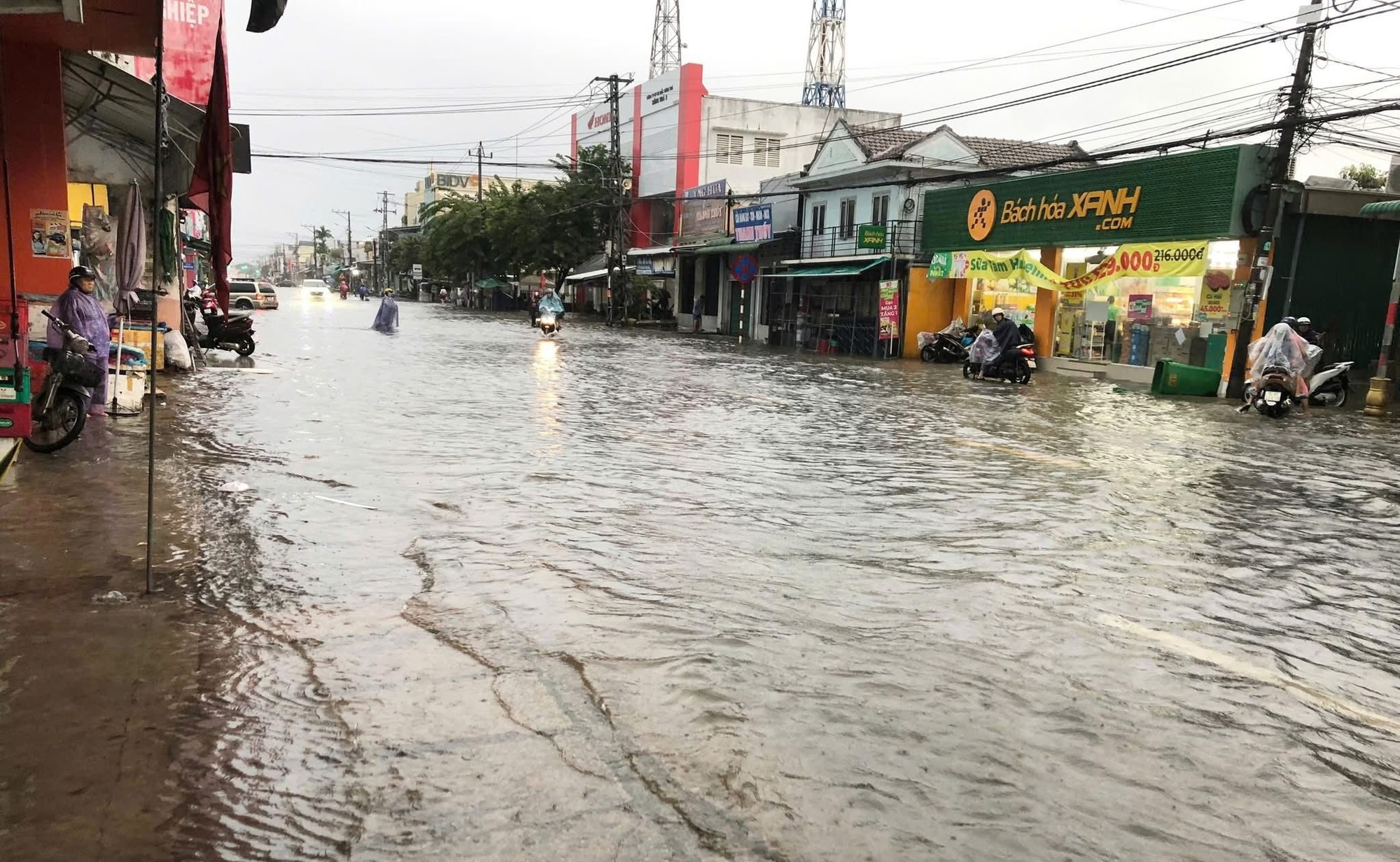 Quảng Ngãi: Mưa lớn gây ngập quốc lộ, sẵn sàng di dời hàng nghìn người dân- Ảnh 1. Quảng Ngãi: Mưa lớn gây ngập quốc lộ, sẵn sàng di dời hàng nghìn người dân- Ảnh 1.