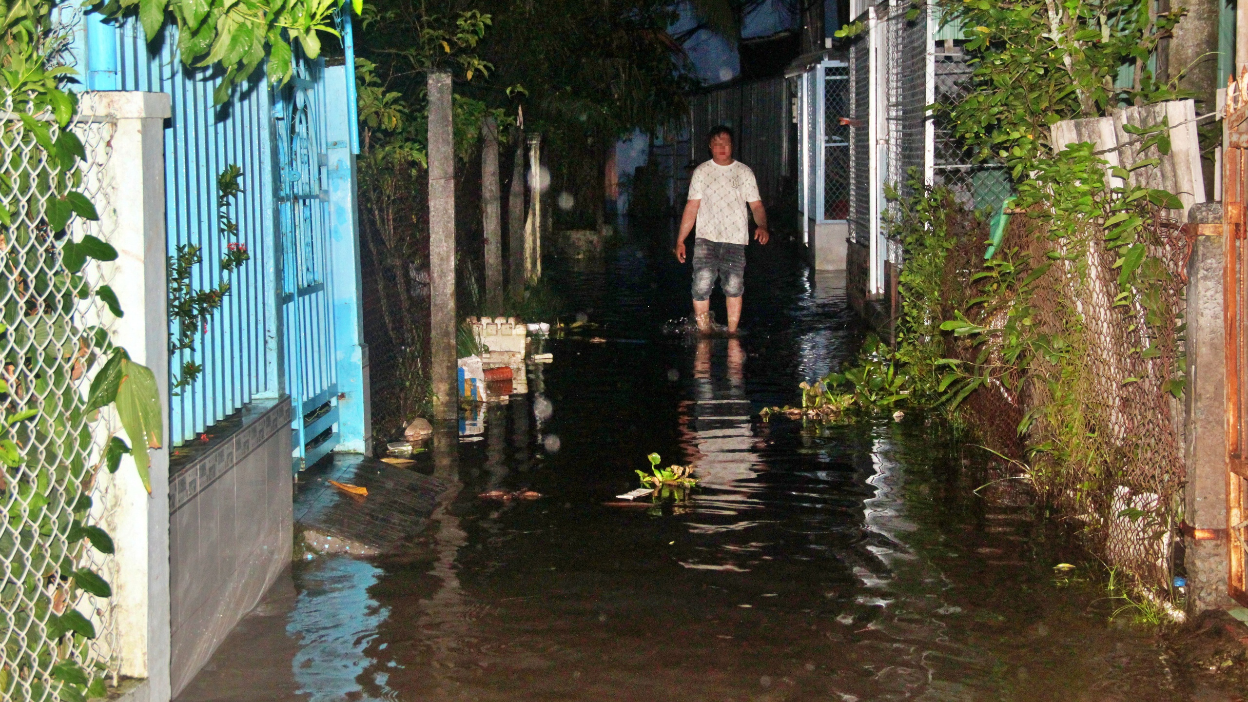 Cà Mau: Triều cường dâng cao, cuộc sống người dân đảo lộn- Ảnh 5.