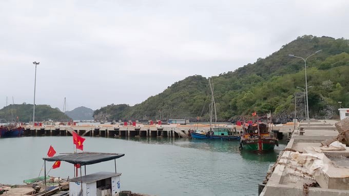 Cảnh sát Hải Phòng tìm thêm bị hại trong vụ cưỡng đoạt tài sản tại cảng Trân Châu- Ảnh 1. Cảnh sát Hải Phòng tìm thêm bị hại trong vụ cưỡng đoạt tài sản tại cảng Trân Châu- Ảnh 1.
