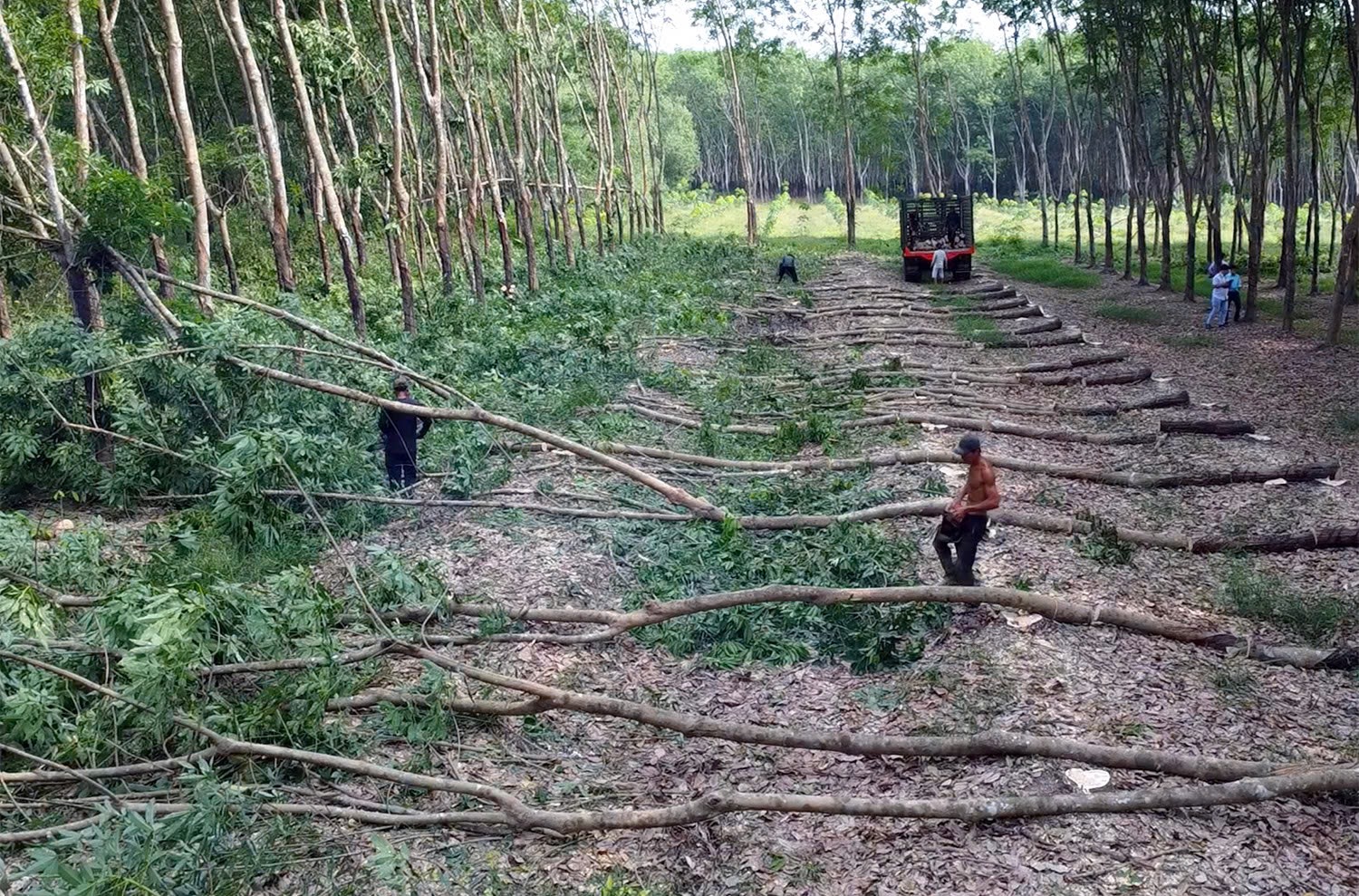 Đồng Nai nỗ lực hoàn thành GPMB cao tốc Gia Nghĩa - Chơn Thành vào tháng 12- Ảnh 1. Đồng Nai nỗ lực hoàn thành GPMB cao tốc Gia Nghĩa - Chơn Thành vào tháng 12- Ảnh 1.