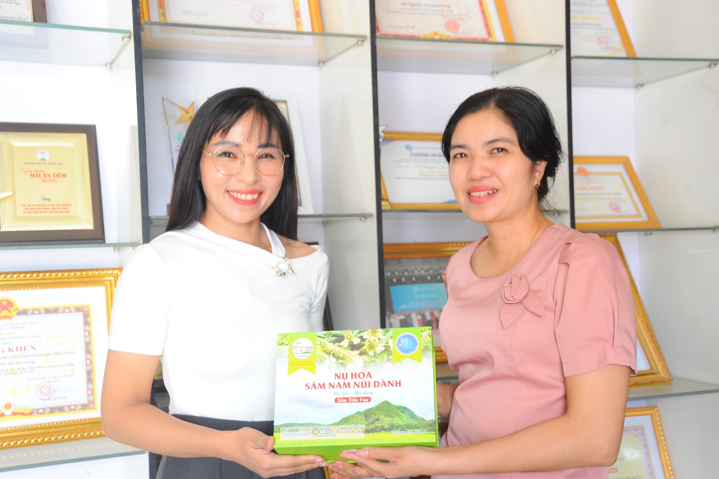 Bắc Ninh: Sâm núi Dành hồi sinh vùng đất nghèo Phúc Hòa- Ảnh 4. Bắc Ninh: Sâm núi Dành hồi sinh vùng đất nghèo Phúc Hòa- Ảnh 4.