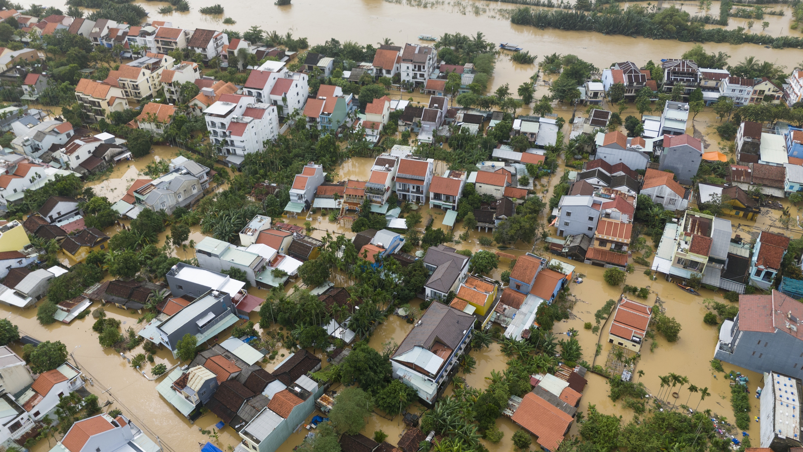 Toàn cảnh phố cổ Hội An ngập sâu trong nước qua góc chụp flycam- Ảnh 4. Toàn cảnh phố cổ Hội An ngập sâu trong nước qua góc chụp flycam- Ảnh 4.