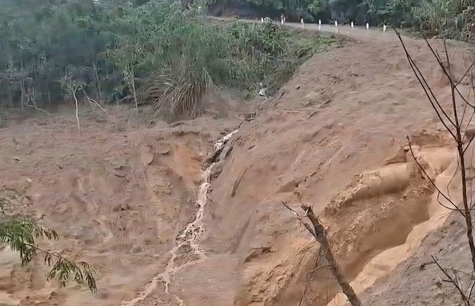 Núi nổ vang rền và lũ bùn kéo dài 3km ở vùng miền núi Quảng Ngãi- Ảnh 4. Núi nổ vang rền và lũ bùn kéo dài 3km ở vùng miền núi Quảng Ngãi- Ảnh 4.