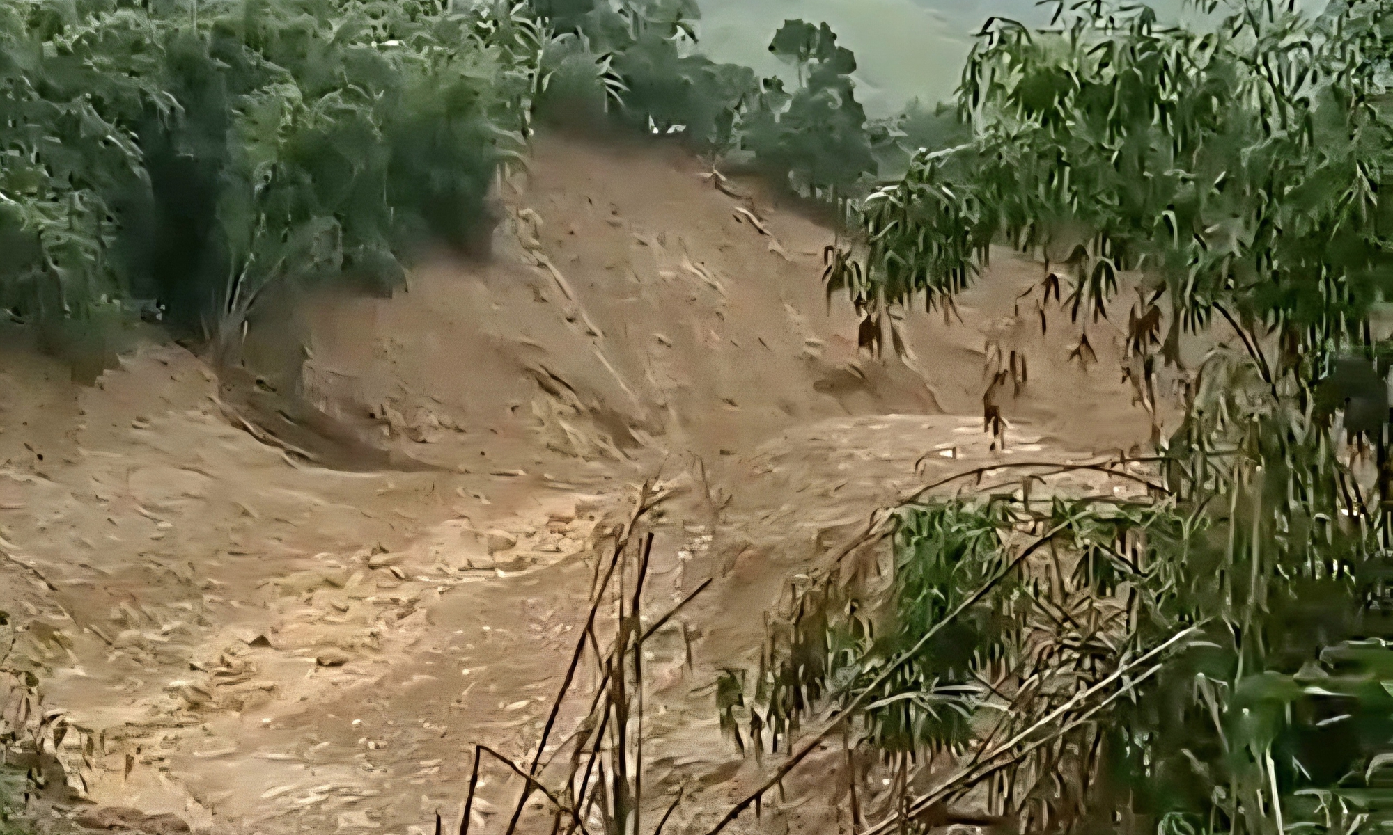 Núi nổ vang rền và lũ bùn kéo dài 3km ở vùng miền núi Quảng Ngãi- Ảnh 8. Núi nổ vang rền và lũ bùn kéo dài 3km ở vùng miền núi Quảng Ngãi- Ảnh 8.