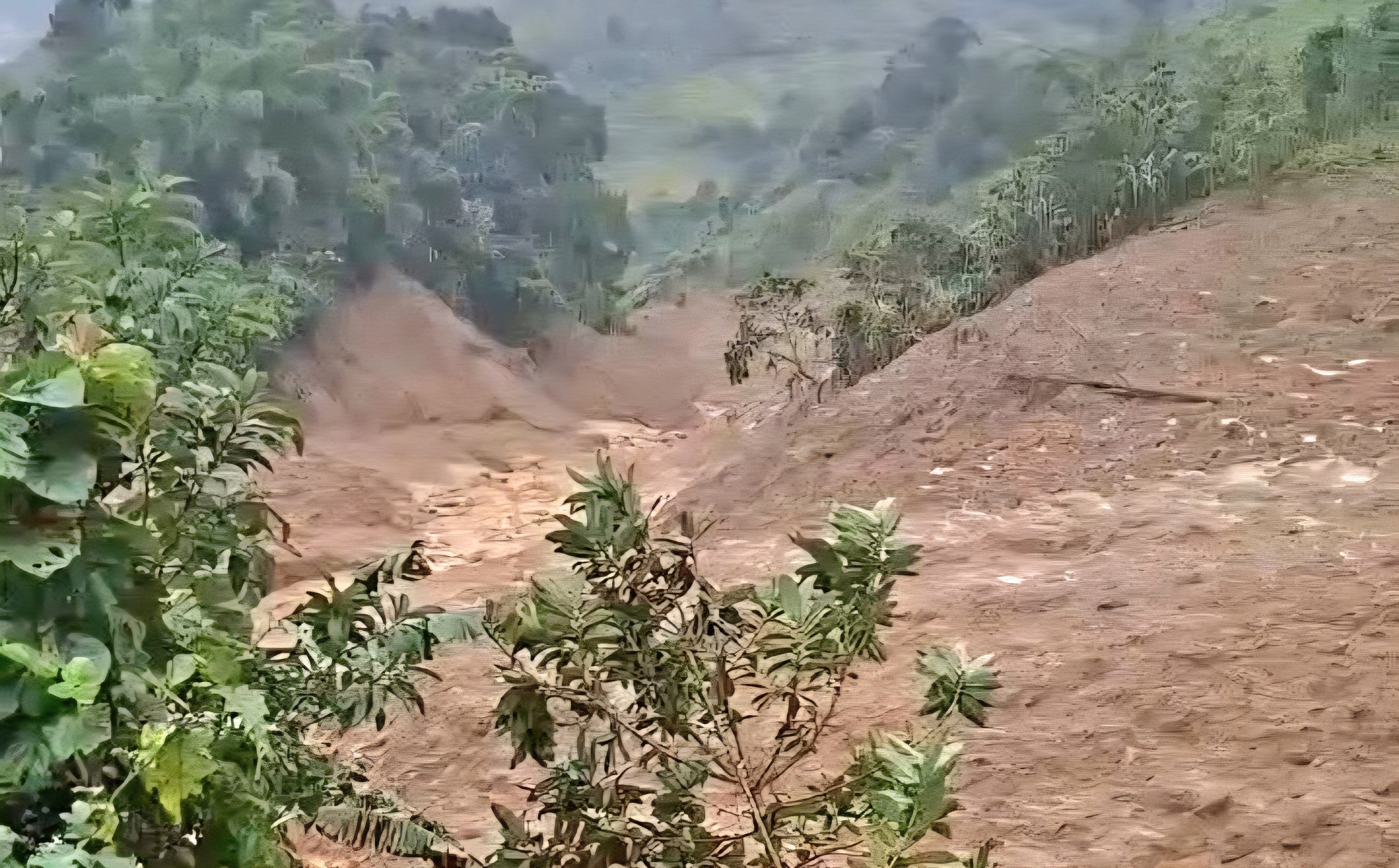 Núi nổ vang rền và lũ bùn kéo dài 3km ở vùng miền núi Quảng Ngãi- Ảnh 1. Núi nổ vang rền và lũ bùn kéo dài 3km ở vùng miền núi Quảng Ngãi- Ảnh 1.