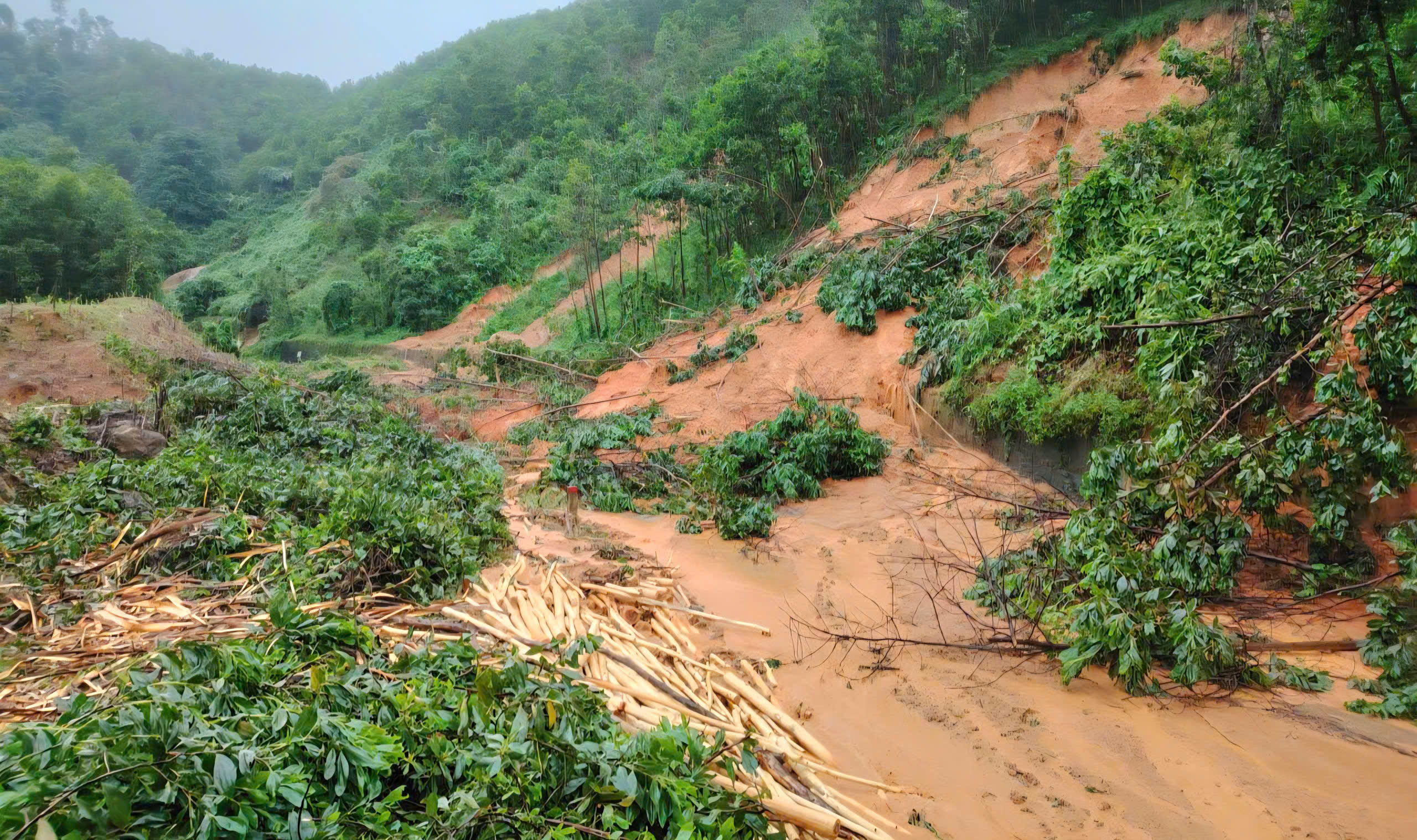 QL1A qua Đà Nẵng ngập sâu, đường Hồ Chí Minh tiếp tục sạt lở- Ảnh 1. QL1A qua Đà Nẵng ngập sâu, đường Hồ Chí Minh tiếp tục sạt lở- Ảnh 1.