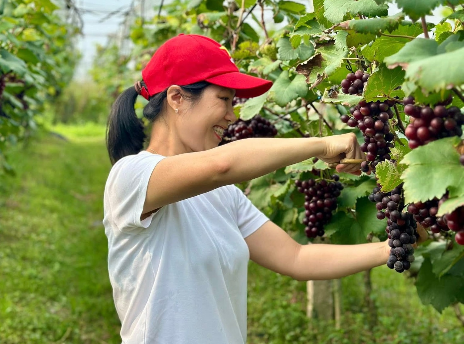 Hà Nội: Xã ven đô phát triển nông nghiệp sinh thái gắn với du lịch trải nghiệm- Ảnh 3. Hà Nội: Xã ven đô phát triển nông nghiệp sinh thái gắn với du lịch trải nghiệm- Ảnh 3.