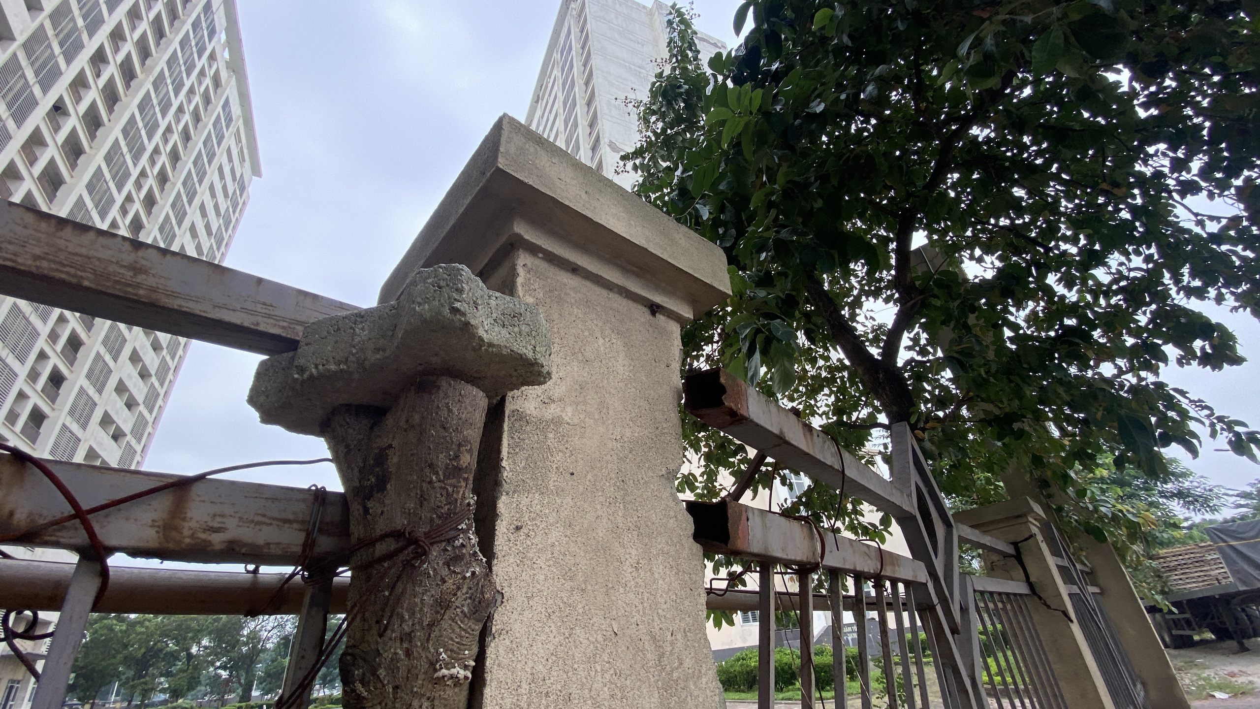 Đánh thức dự án ký túc xá Pháp Vân - Tứ Hiệp sau hơn chục năm ngủ vùi- Ảnh 6.