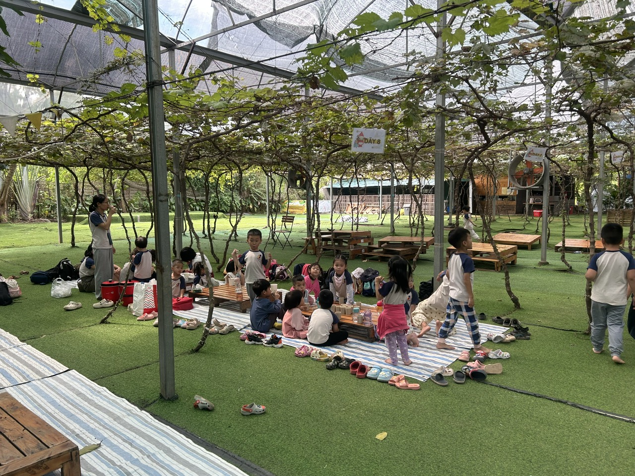 Hà Nội: Xã ven đô phát triển nông nghiệp sinh thái gắn với du lịch trải nghiệm- Ảnh 6. Hà Nội: Xã ven đô phát triển nông nghiệp sinh thái gắn với du lịch trải nghiệm- Ảnh 6.