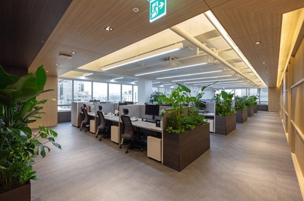Vận, mệnh và phong thủy- Ảnh 2. Vận, mệnh và phong thủy- Ảnh 2.