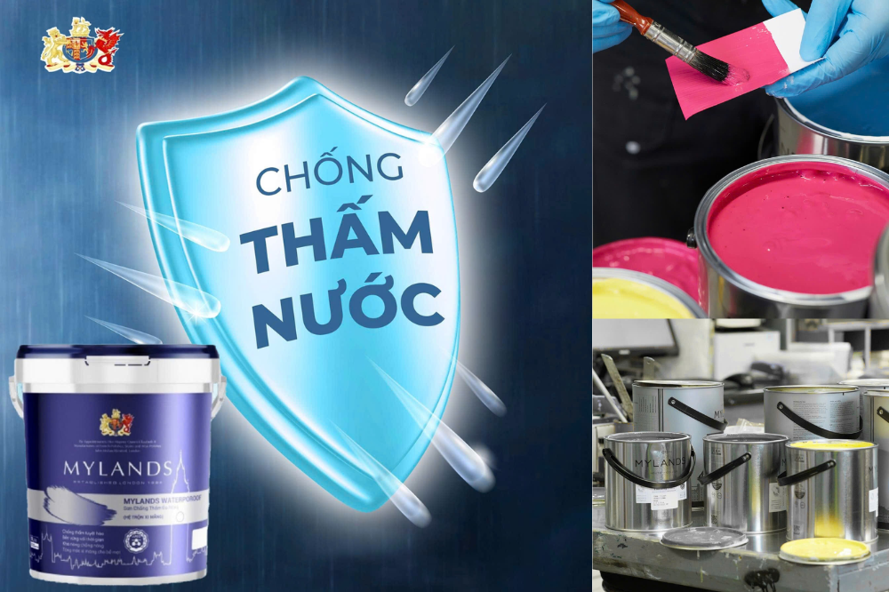 Sơn MYLANDS - Thương hiệu sơn chất lượng cho mọi không gian sống- Ảnh 2. Sơn MYLANDS - Thương hiệu sơn chất lượng cho mọi không gian sống- Ảnh 2.