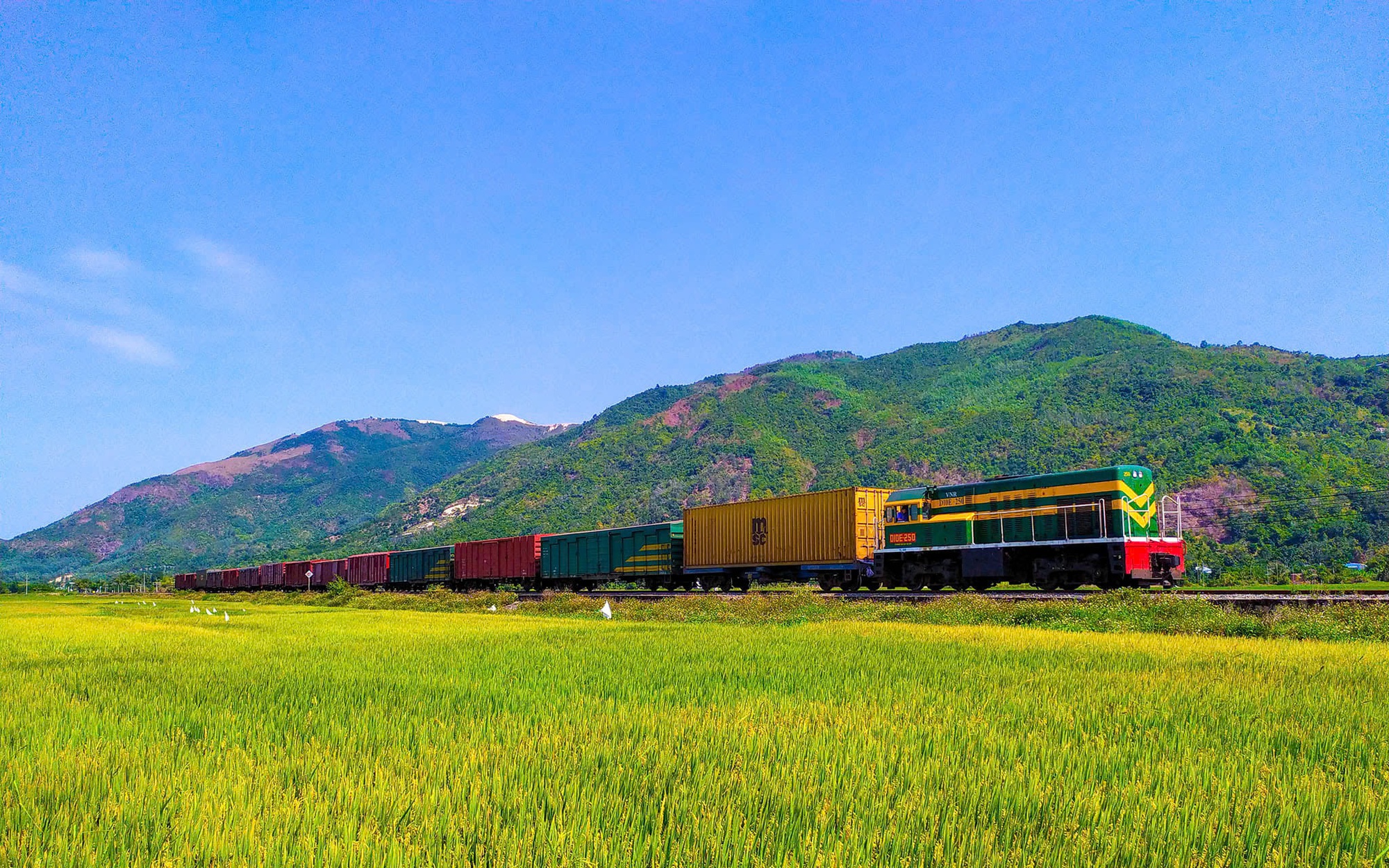 Kết nối Đông - Tây Thủ đô bằng mạng đường sắt vành đai, đô thị- Ảnh 2. Cần hơn 1,5 triệu tỷ đồng đầu tư đường sắt quốc gia đến 2030