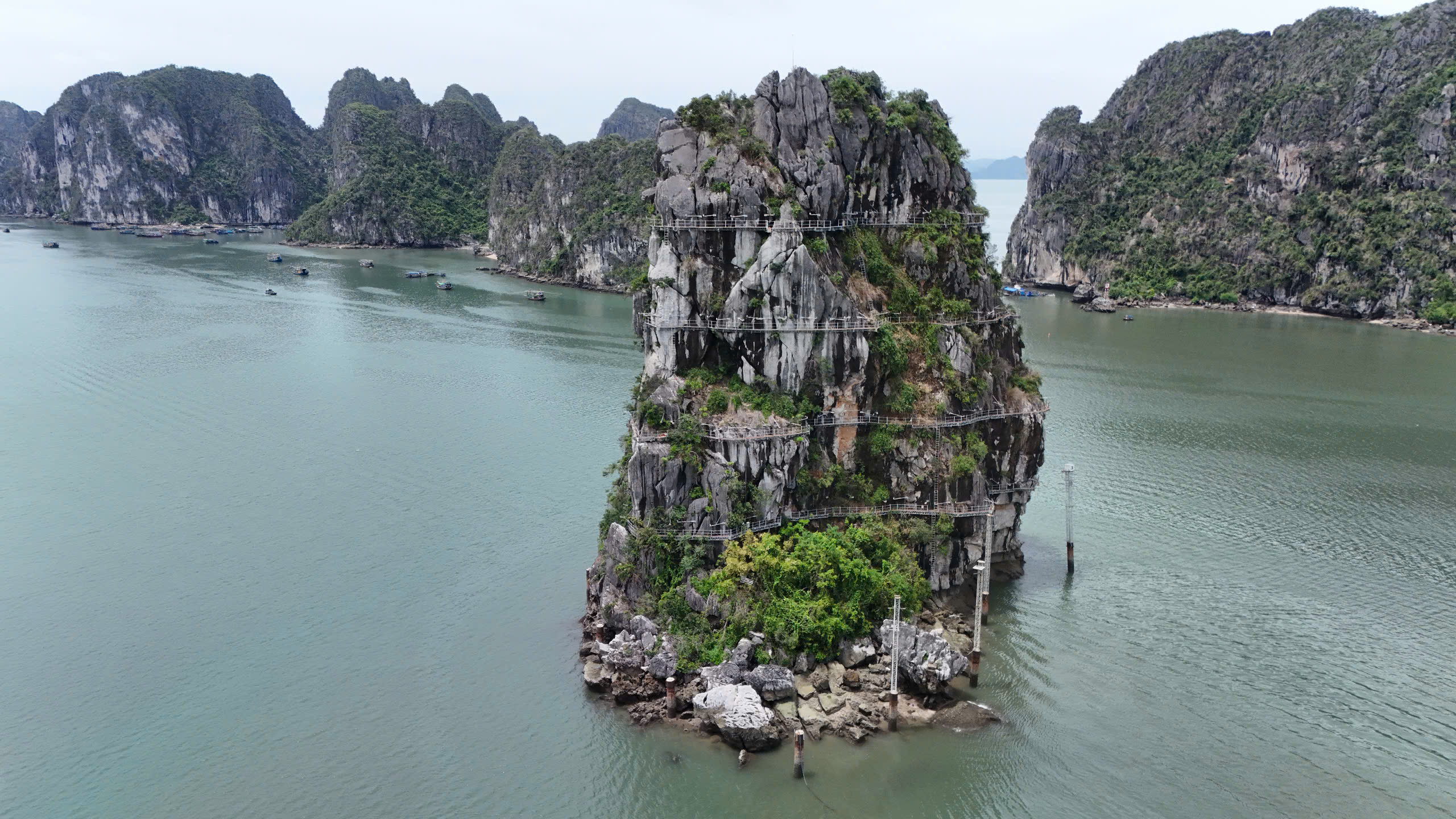 Tháo dỡ dàn đèn nghệ thuật 140 tỷ đồng trên vịnh Hạ Long: Bài học đầu tư cảnh quan- Ảnh 2. Tháo dỡ dàn đèn nghệ thuật 140 tỷ đồng trên vịnh Hạ Long: Bài học đầu tư cảnh quan- Ảnh 2.