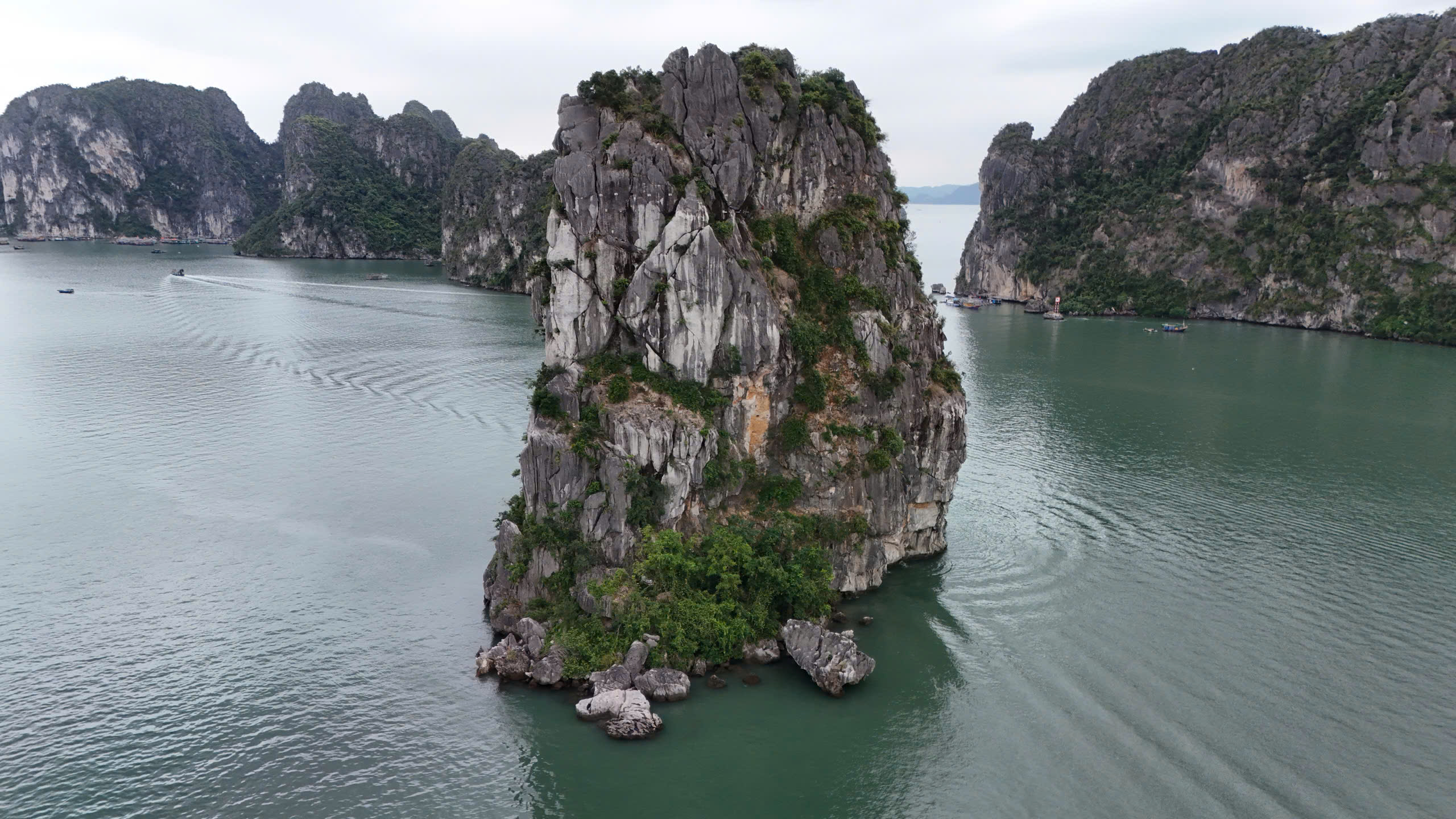 Tháo dỡ dàn đèn nghệ thuật 140 tỷ đồng trên vịnh Hạ Long: Bài học đầu tư cảnh quan- Ảnh 3. Tháo dỡ dàn đèn nghệ thuật 140 tỷ đồng trên vịnh Hạ Long: Bài học đầu tư cảnh quan- Ảnh 3.