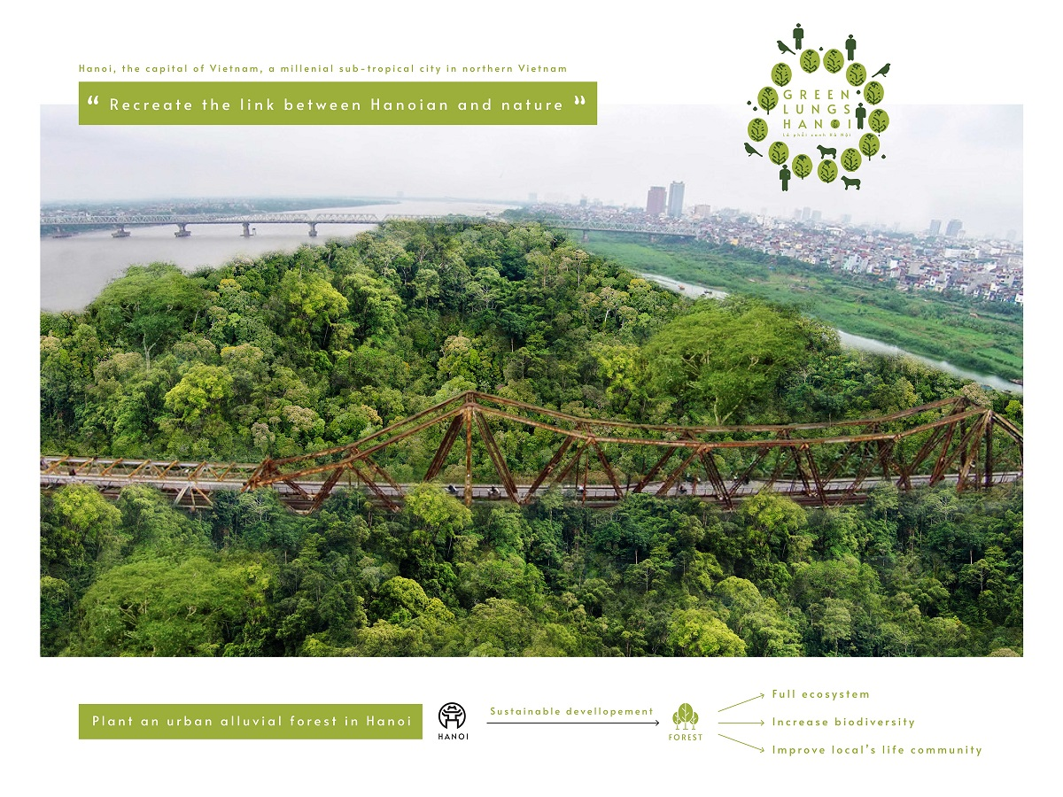 A bridge over a forest  AI-generated content may be incorrect.