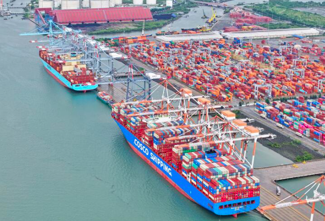 TP.HCM: Phát triển Cái Mép thành cảng quốc tế trung chuyển tầm cỡ châu Á và thế giới- Ảnh 2.