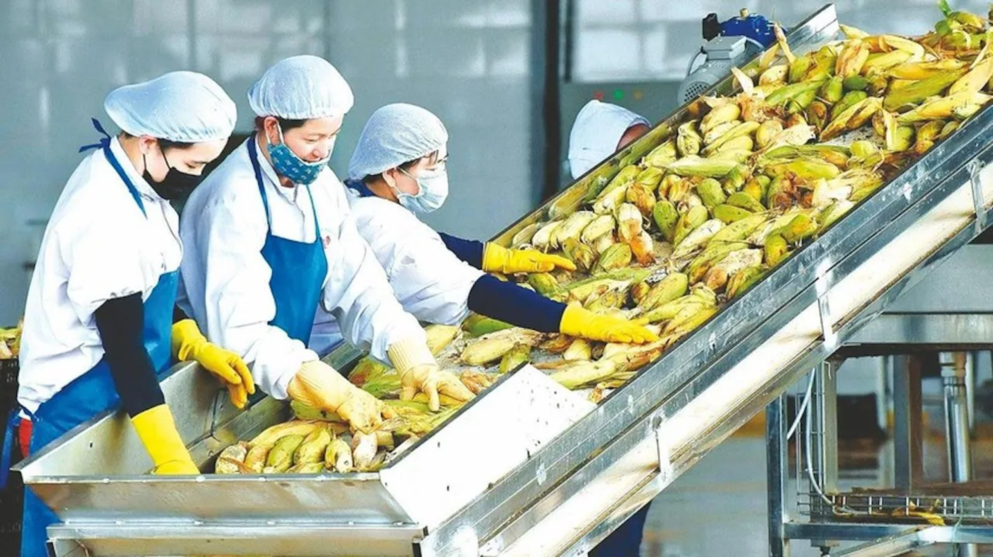 Tăng tốc xuất khẩu, kỳ vọng cán mốc lịch sử- Ảnh 1.