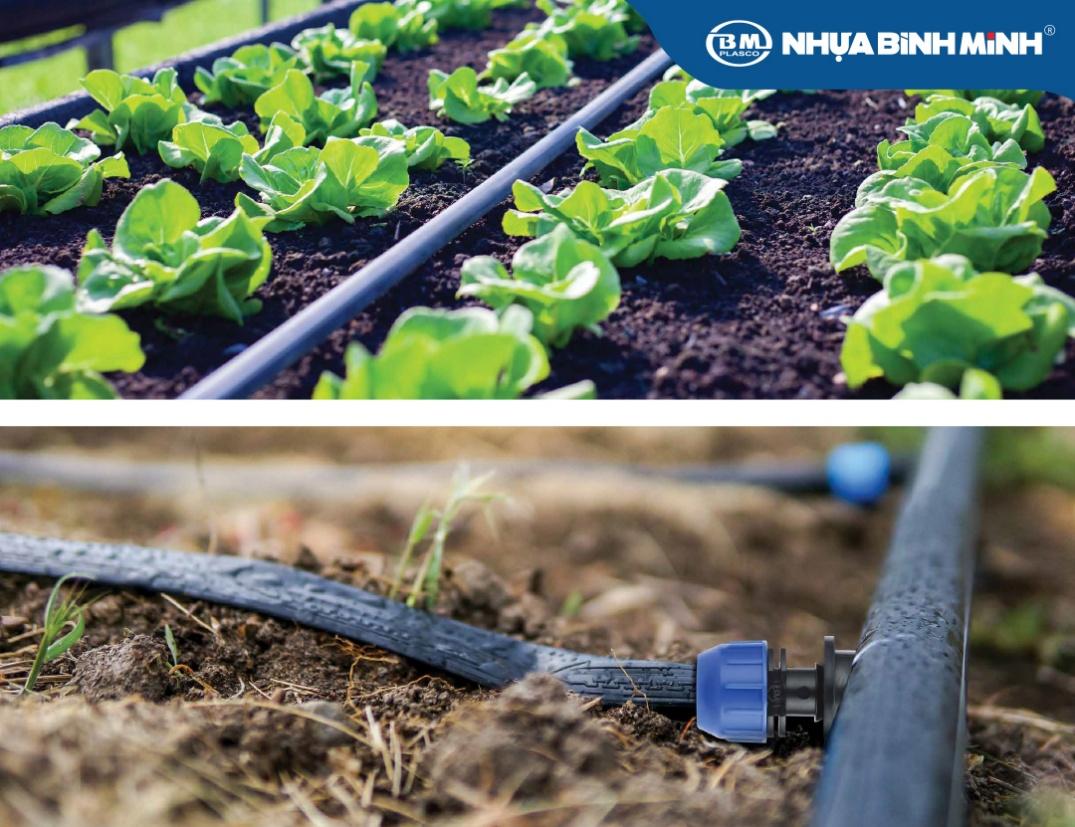 Đa dạng sản phẩm, phủ rộng thị trường - trụ cột bứt phá của Nhựa Bình Minh- Ảnh 4. Đa dạng sản phẩm, phủ rộng thị trường - trụ cột bứt phá của Nhựa Bình Minh- Ảnh 4.