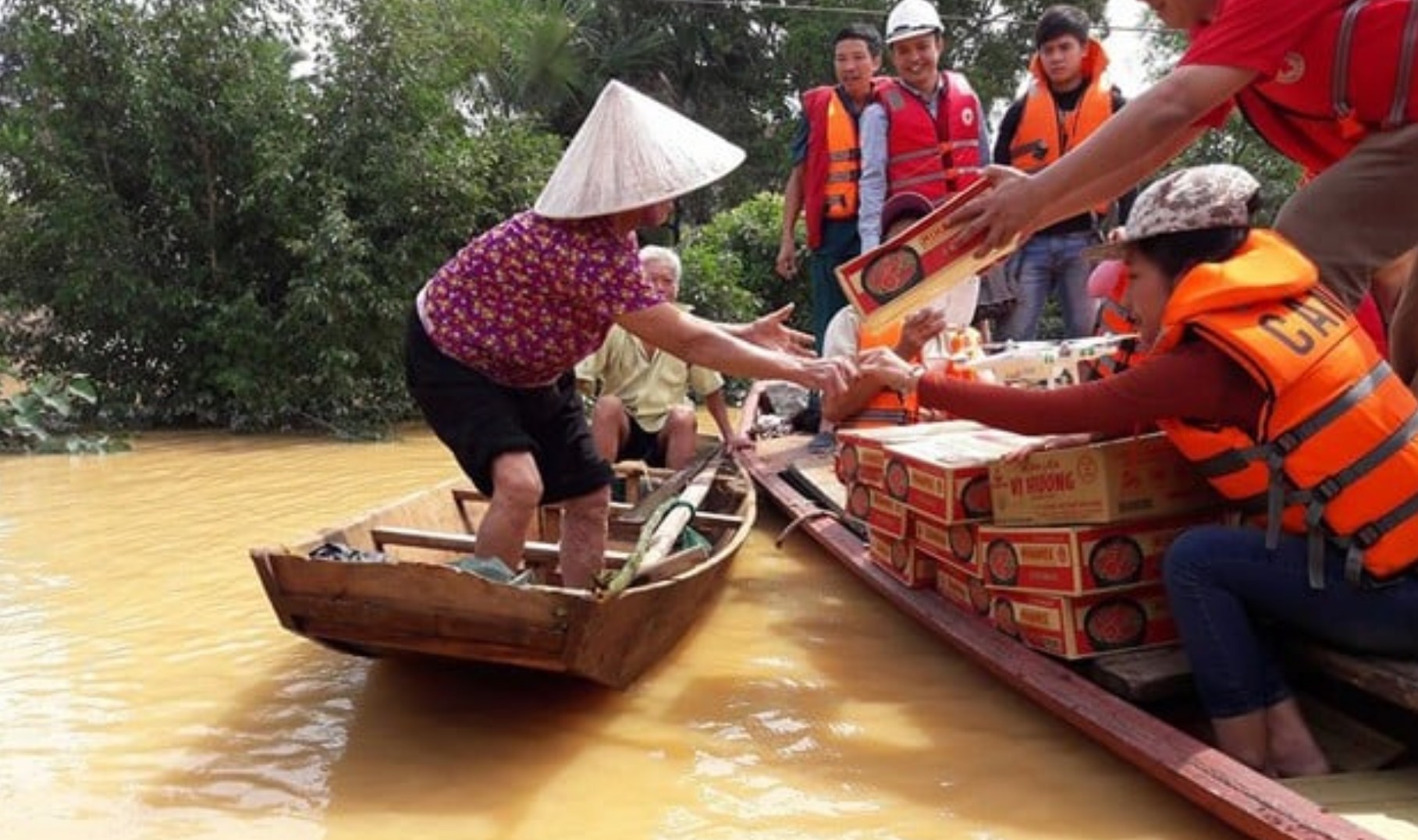 Giám sát nguy cơ ngộ độc thực phẩm vùng lũ lụt- Ảnh 2.