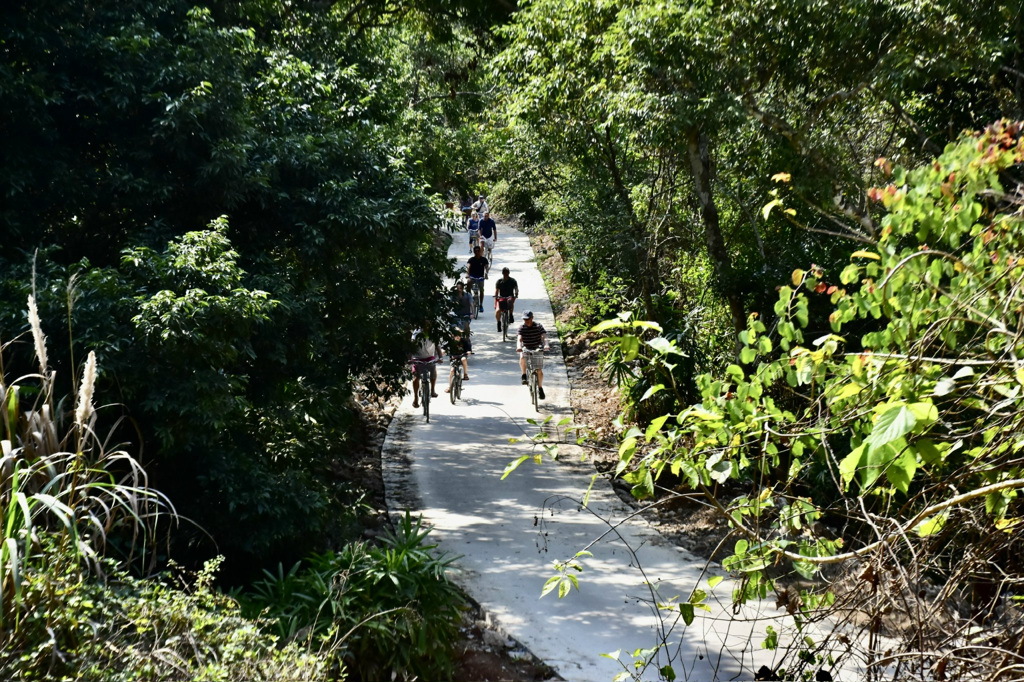 Nông thôn mới: 5km đường nối dài kinh tế xã đảo- Ảnh 1.