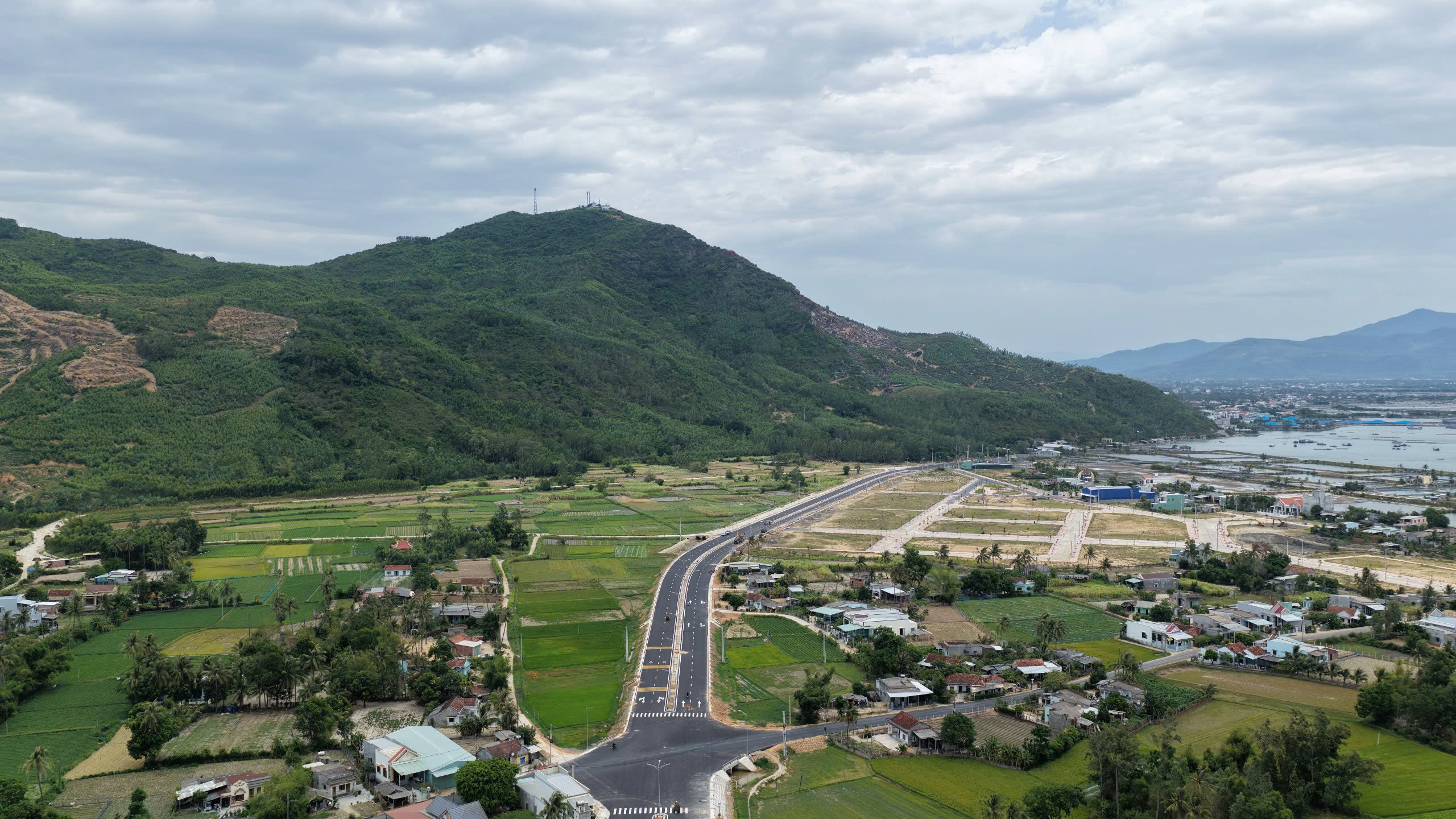 Gia Lai: Chuyển đổi hơn 33ha rừng xây khu tái định cư phục vụ khu công nghiệp Phù Mỹ- Ảnh 1. Gia Lai: Chuyển đổi hơn 33ha rừng xây khu tái định cư phục vụ khu công nghiệp Phù Mỹ- Ảnh 1.