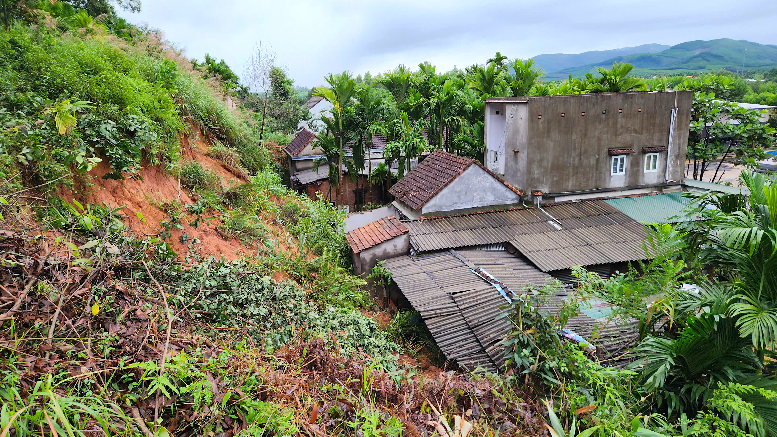 Quả đồi sạt lở "tấn công" nhà dân, uy hiếp an toàn quốc lộ qua Quảng Ngãi- Ảnh 2. Quả đồi sạt lở "tấn công" nhà dân, uy hiếp an toàn quốc lộ qua Quảng Ngãi- Ảnh 2.