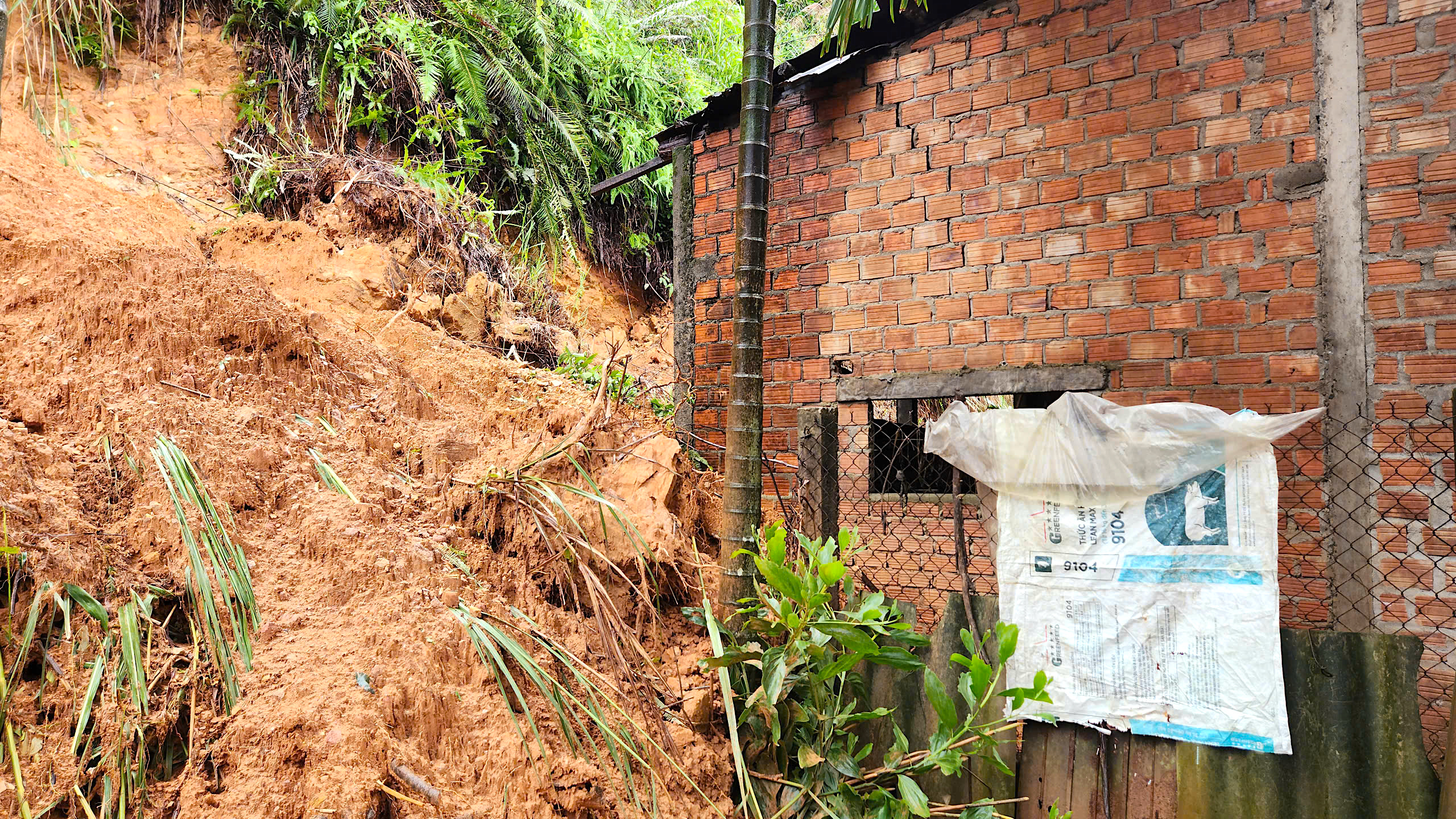 Quả đồi sạt lở "tấn công" nhà dân, uy hiếp an toàn quốc lộ qua Quảng Ngãi- Ảnh 3. Quả đồi sạt lở "tấn công" nhà dân, uy hiếp an toàn quốc lộ qua Quảng Ngãi- Ảnh 3.