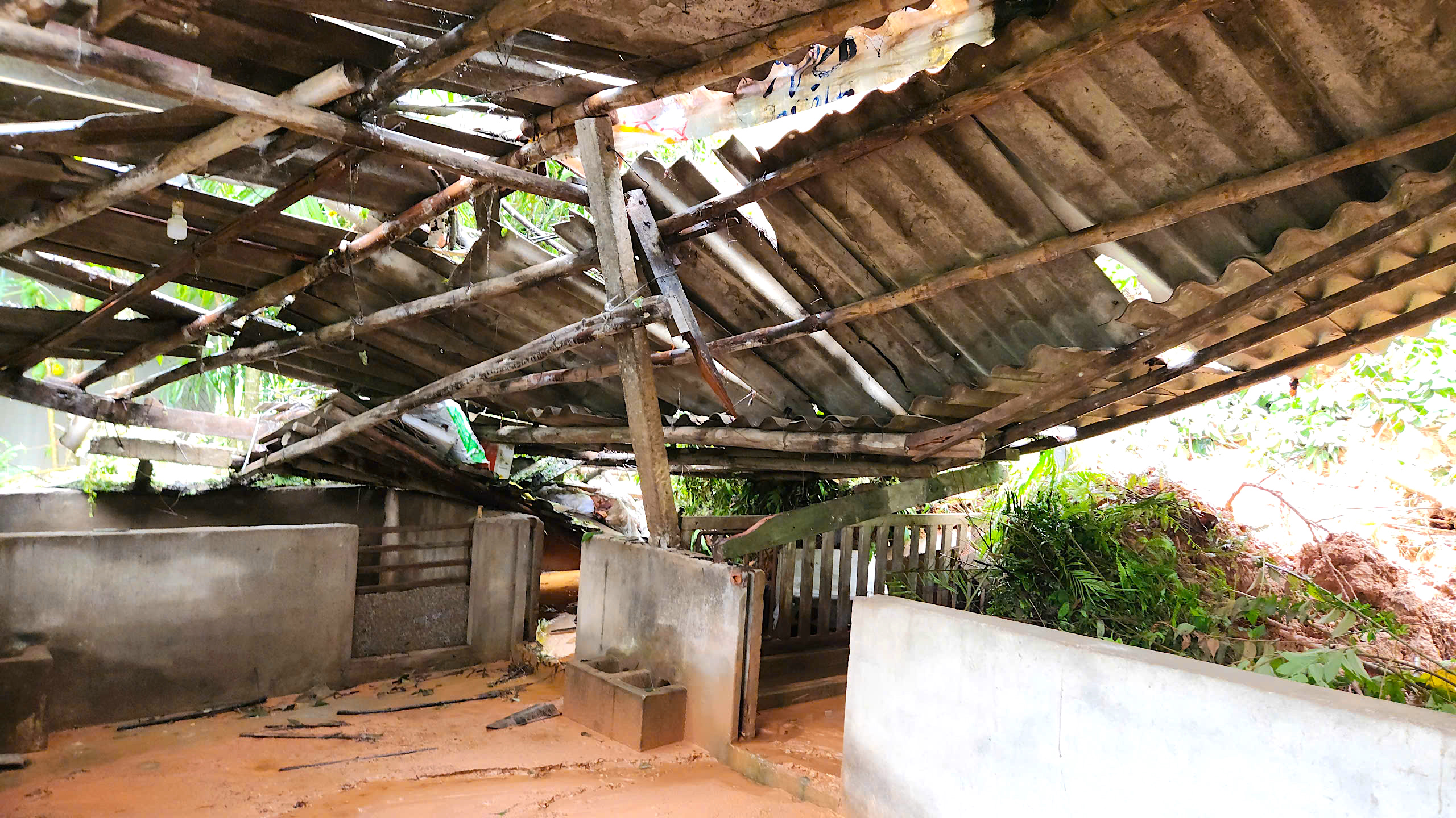 Quả đồi sạt lở "tấn công" nhà dân, uy hiếp an toàn quốc lộ qua Quảng Ngãi- Ảnh 5. Quả đồi sạt lở "tấn công" nhà dân, uy hiếp an toàn quốc lộ qua Quảng Ngãi- Ảnh 5.