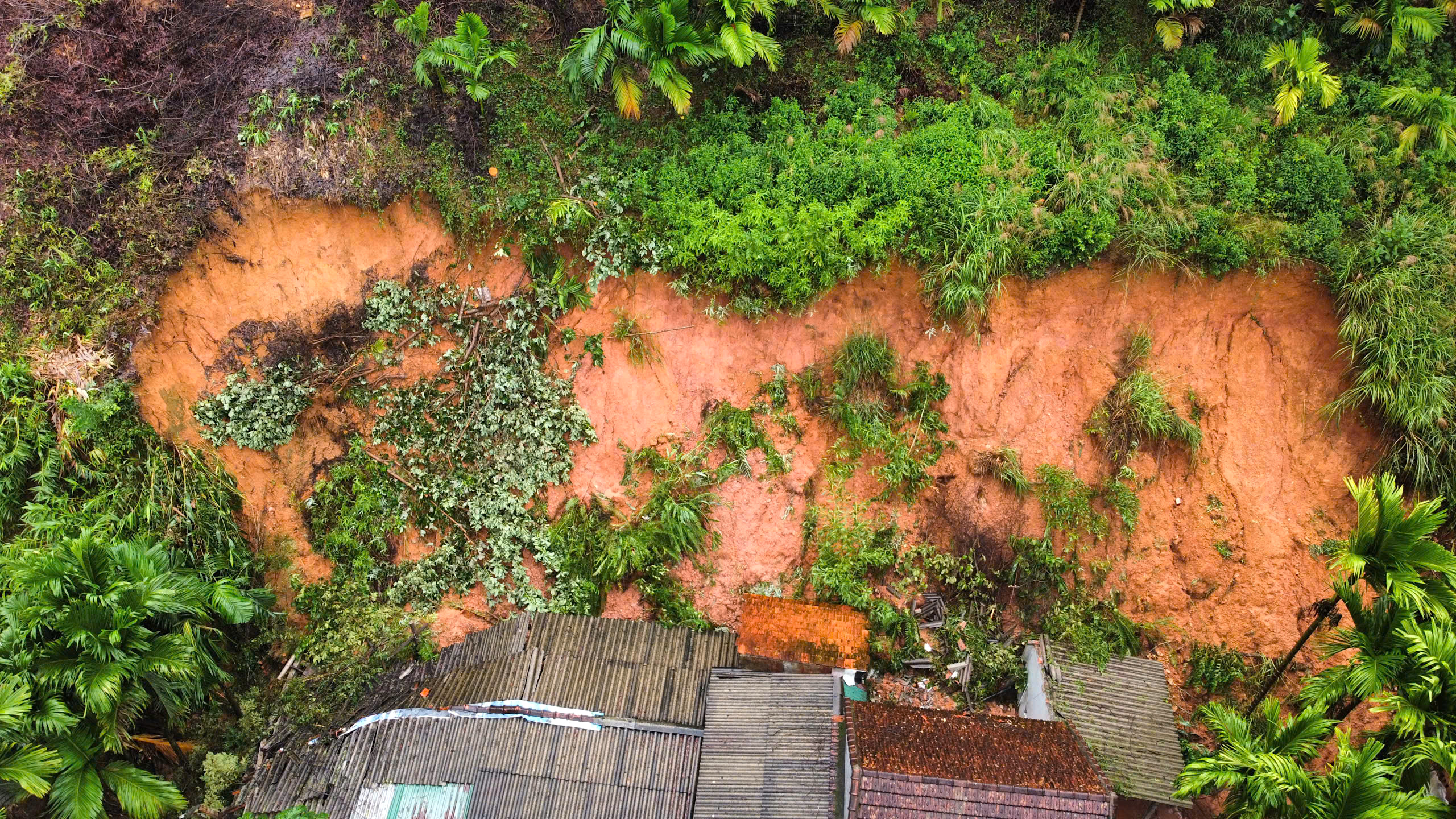 Quả đồi sạt lở "tấn công" nhà dân, uy hiếp an toàn quốc lộ qua Quảng Ngãi- Ảnh 1. Quả đồi sạt lở "tấn công" nhà dân, uy hiếp an toàn quốc lộ qua Quảng Ngãi- Ảnh 1.