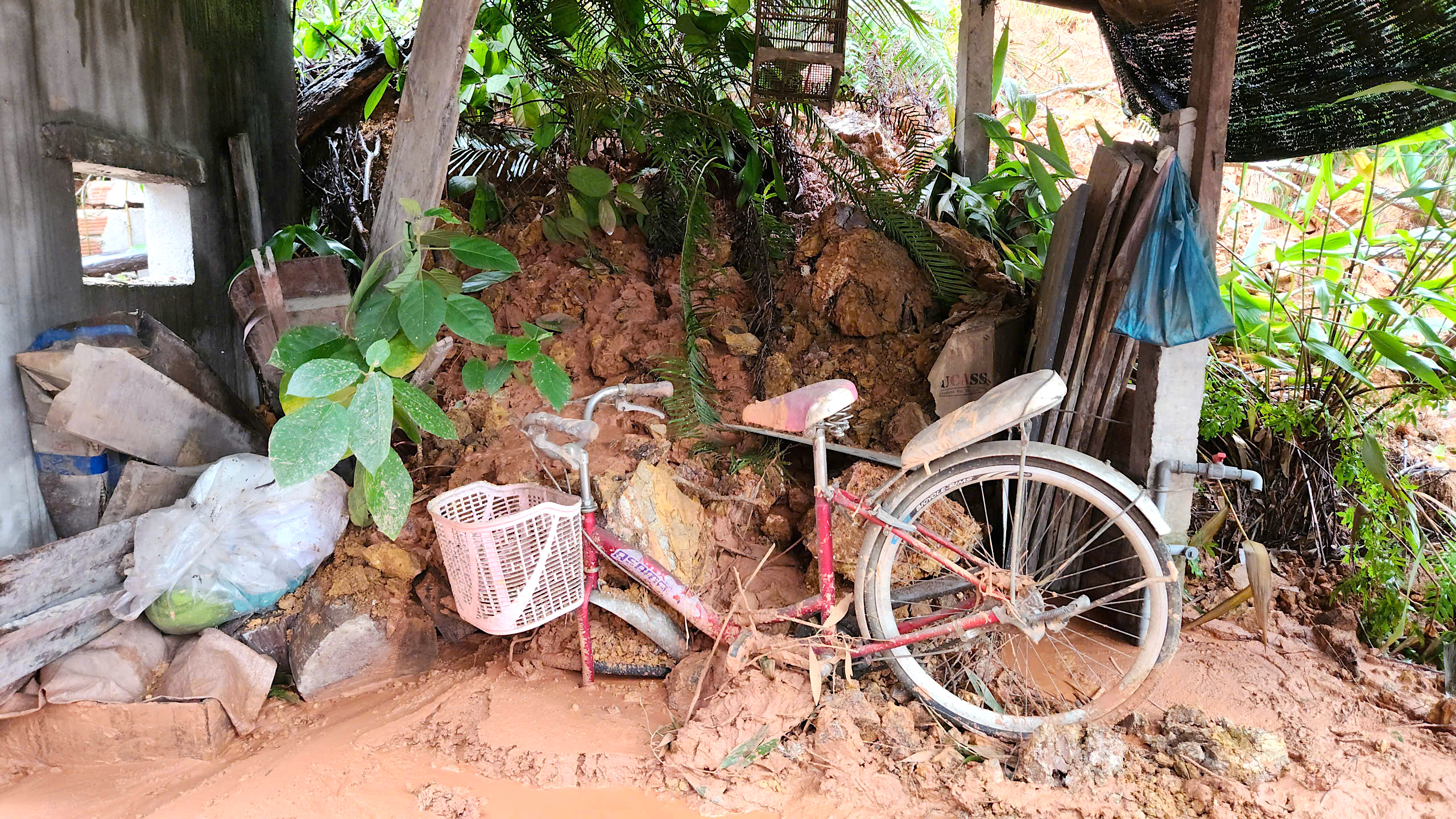 Quả đồi sạt lở "tấn công" nhà dân, uy hiếp an toàn quốc lộ qua Quảng Ngãi- Ảnh 7. Quả đồi sạt lở "tấn công" nhà dân, uy hiếp an toàn quốc lộ qua Quảng Ngãi- Ảnh 7.