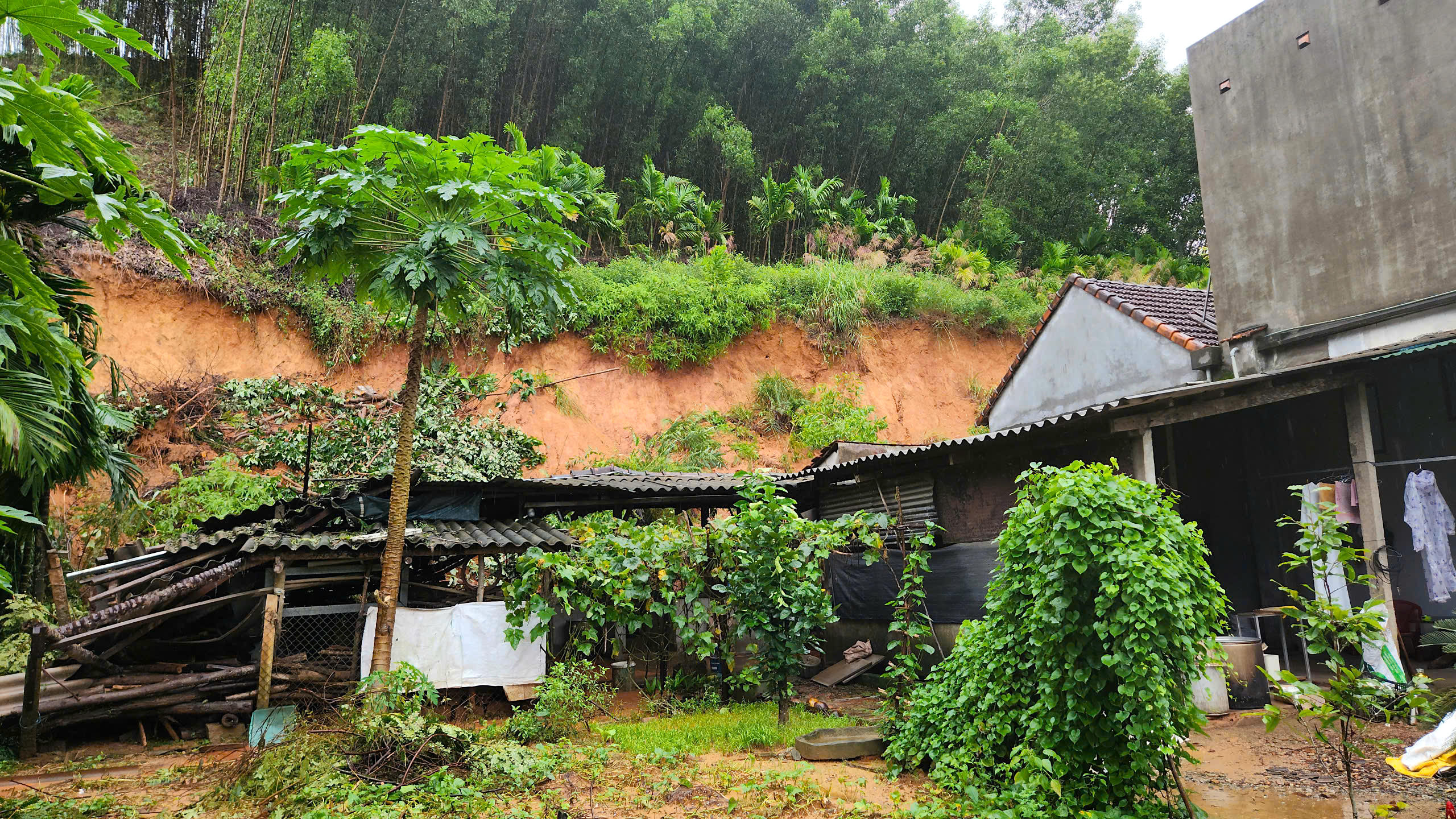 Quả đồi sạt lở "tấn công" nhà dân, uy hiếp an toàn quốc lộ qua Quảng Ngãi- Ảnh 12. Quả đồi sạt lở "tấn công" nhà dân, uy hiếp an toàn quốc lộ qua Quảng Ngãi- Ảnh 12.