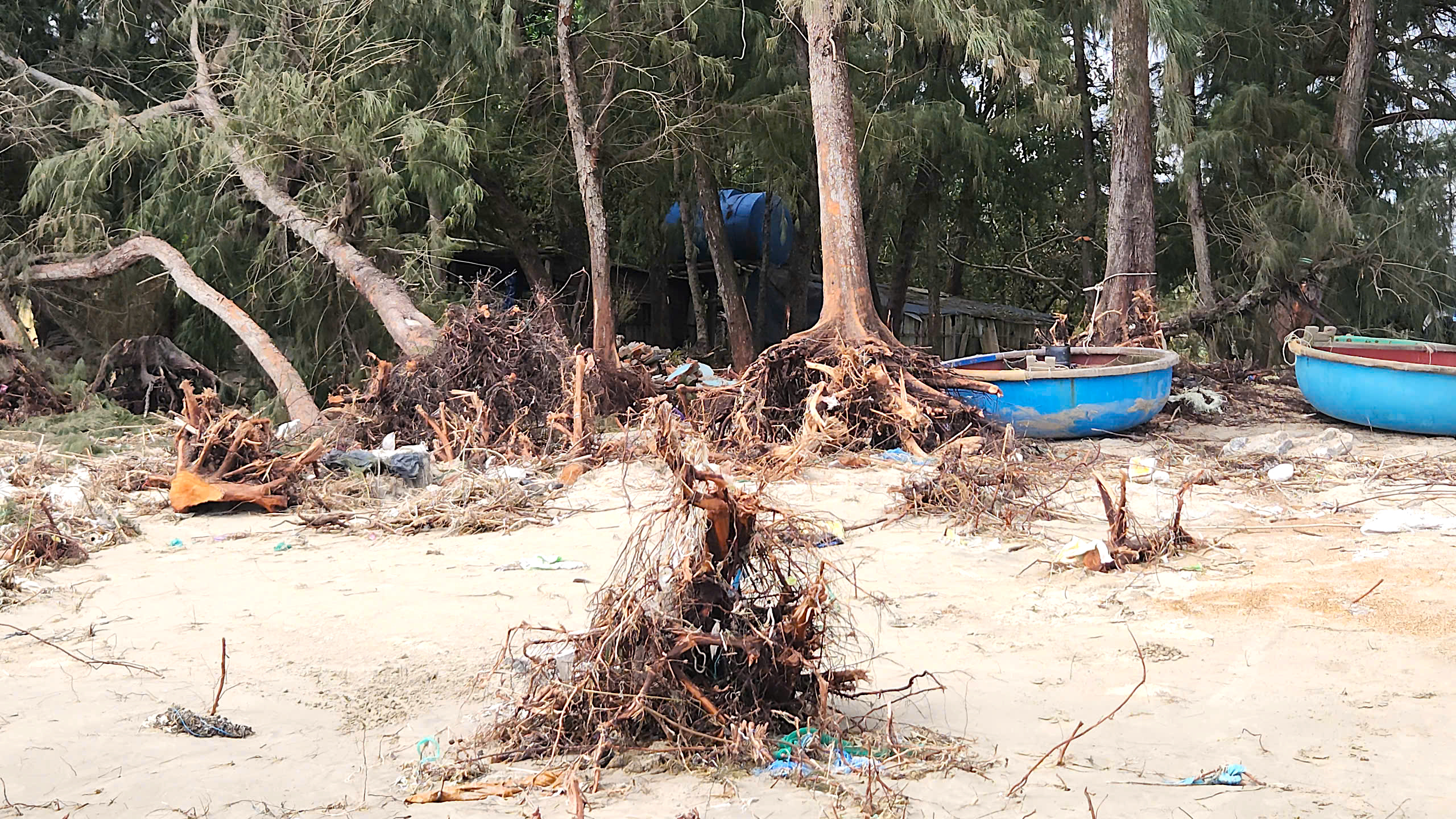 Kè biển giúp người dân Quảng Ngãi chống chọi với những con sóng dữ- Ảnh 10.