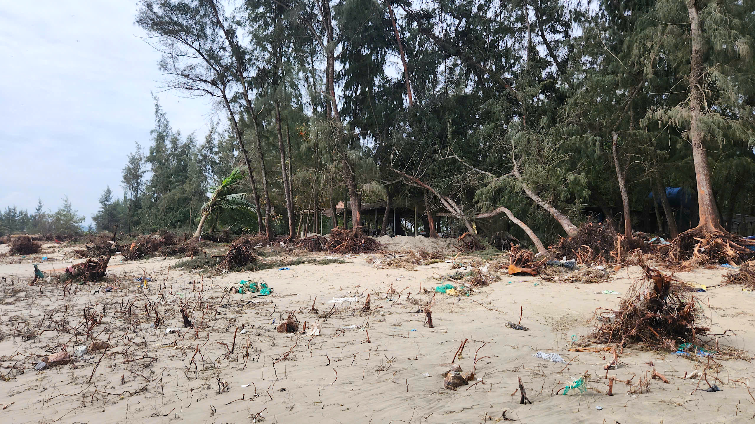 Kè biển giúp người dân Quảng Ngãi chống chọi với những con sóng dữ- Ảnh 9.