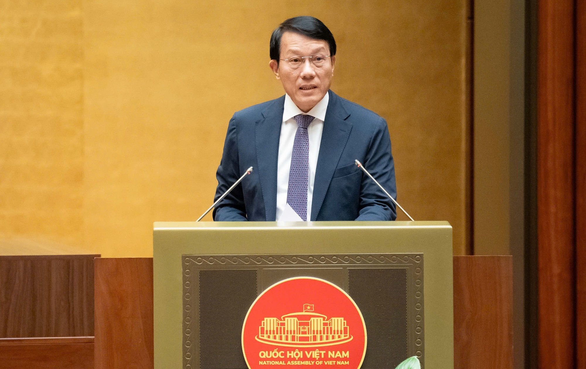 Sửa Luật Phòng chống ma tuý, tăng thời hạn cai nghiện ma tuý lần đầu lên 24 tháng- Ảnh 1.