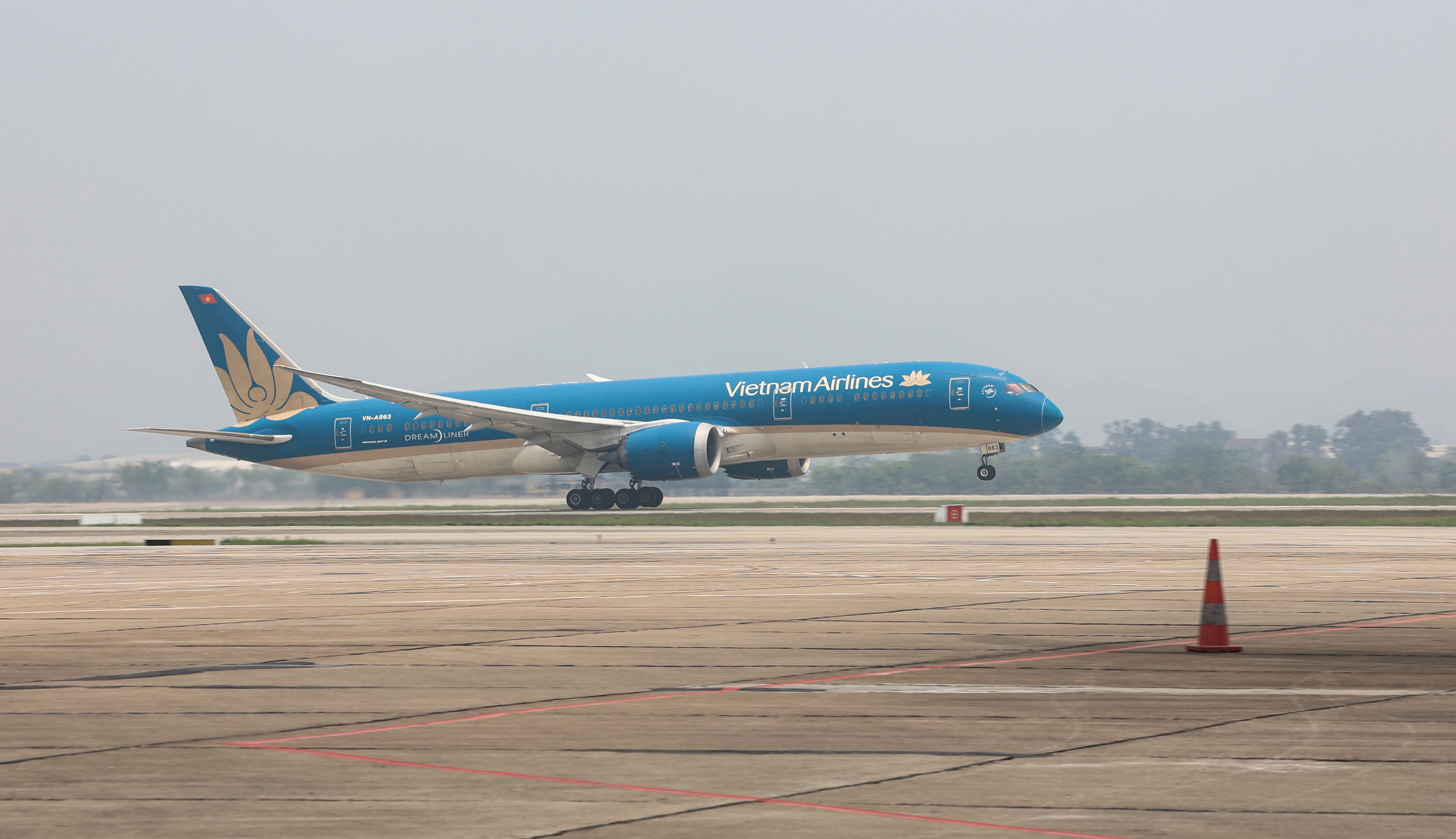 Hàng không "căng mình" ứng phó hiểm họa chim va tàu bay trong mùa di cư- Ảnh 1.