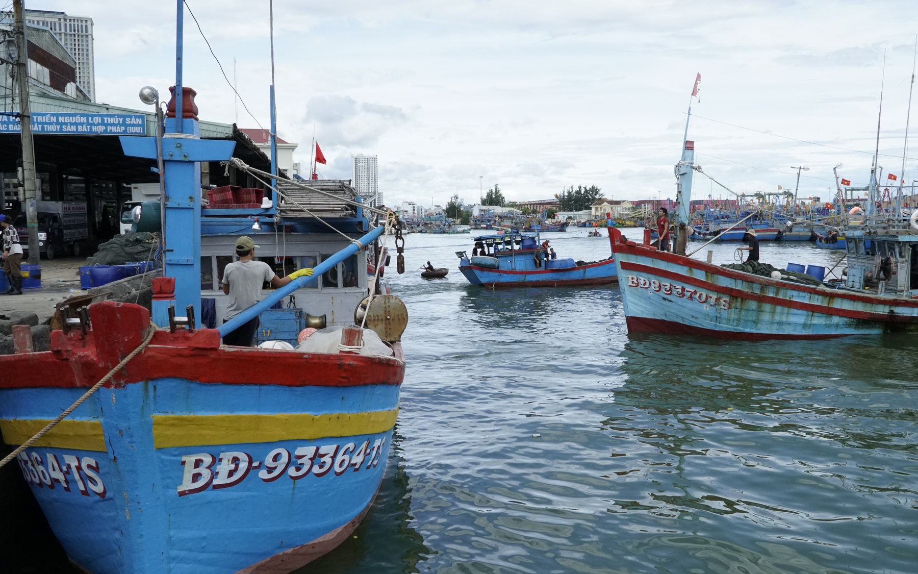 Sau bão dữ, ngư dân Gia Lai trở lại vươn khơi bám biển