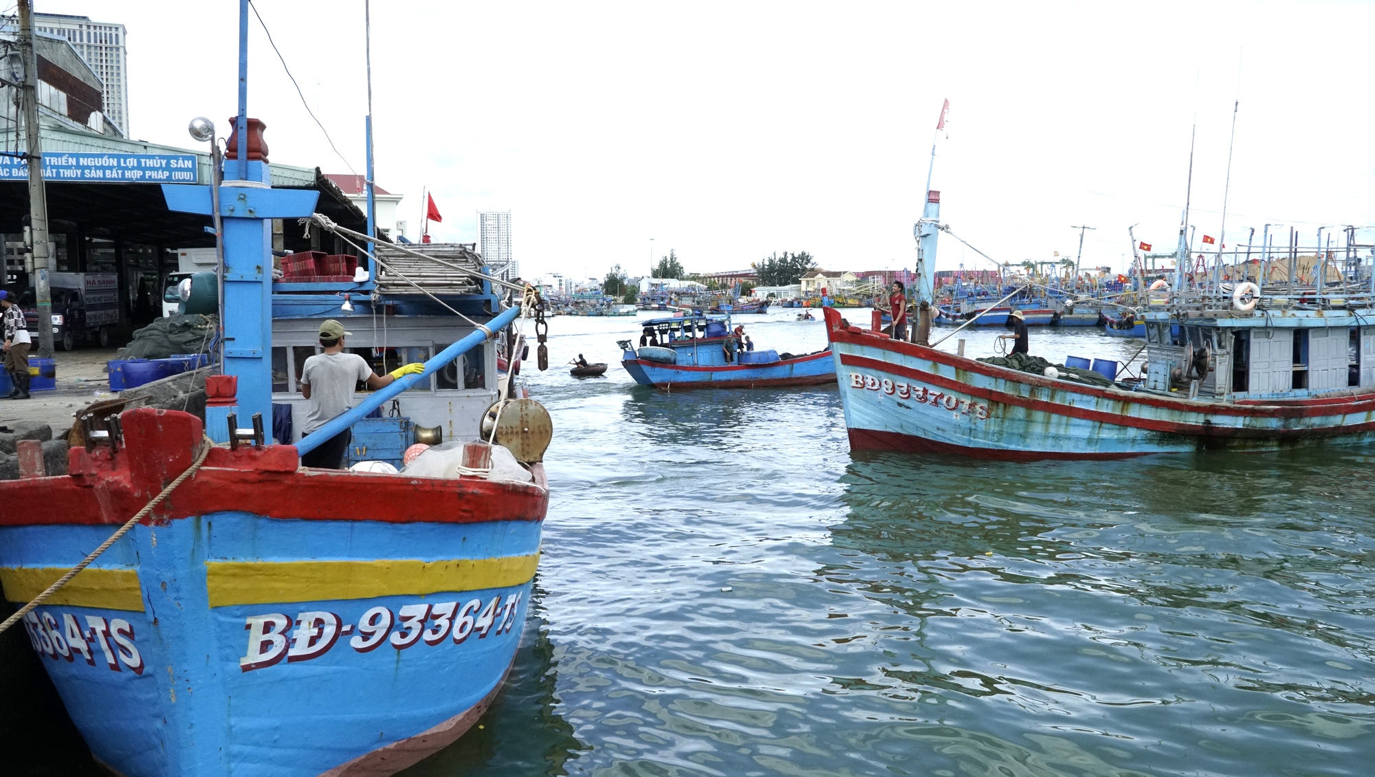 Sau bão dữ, ngư dân Gia Lai trở lại vươn khơi bám biển- Ảnh 13.