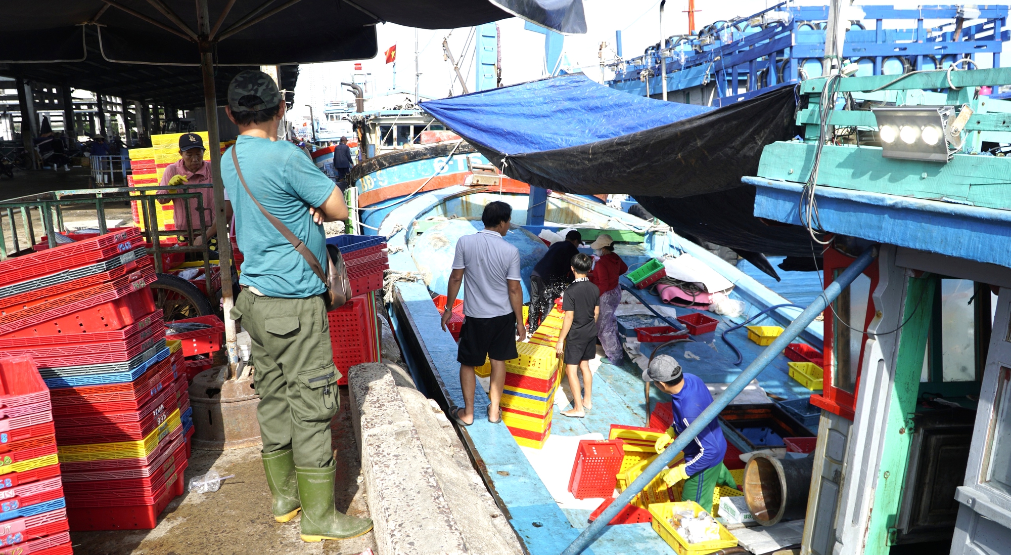 Sau bão dữ, ngư dân Gia Lai trở lại vươn khơi bám biển- Ảnh 15.