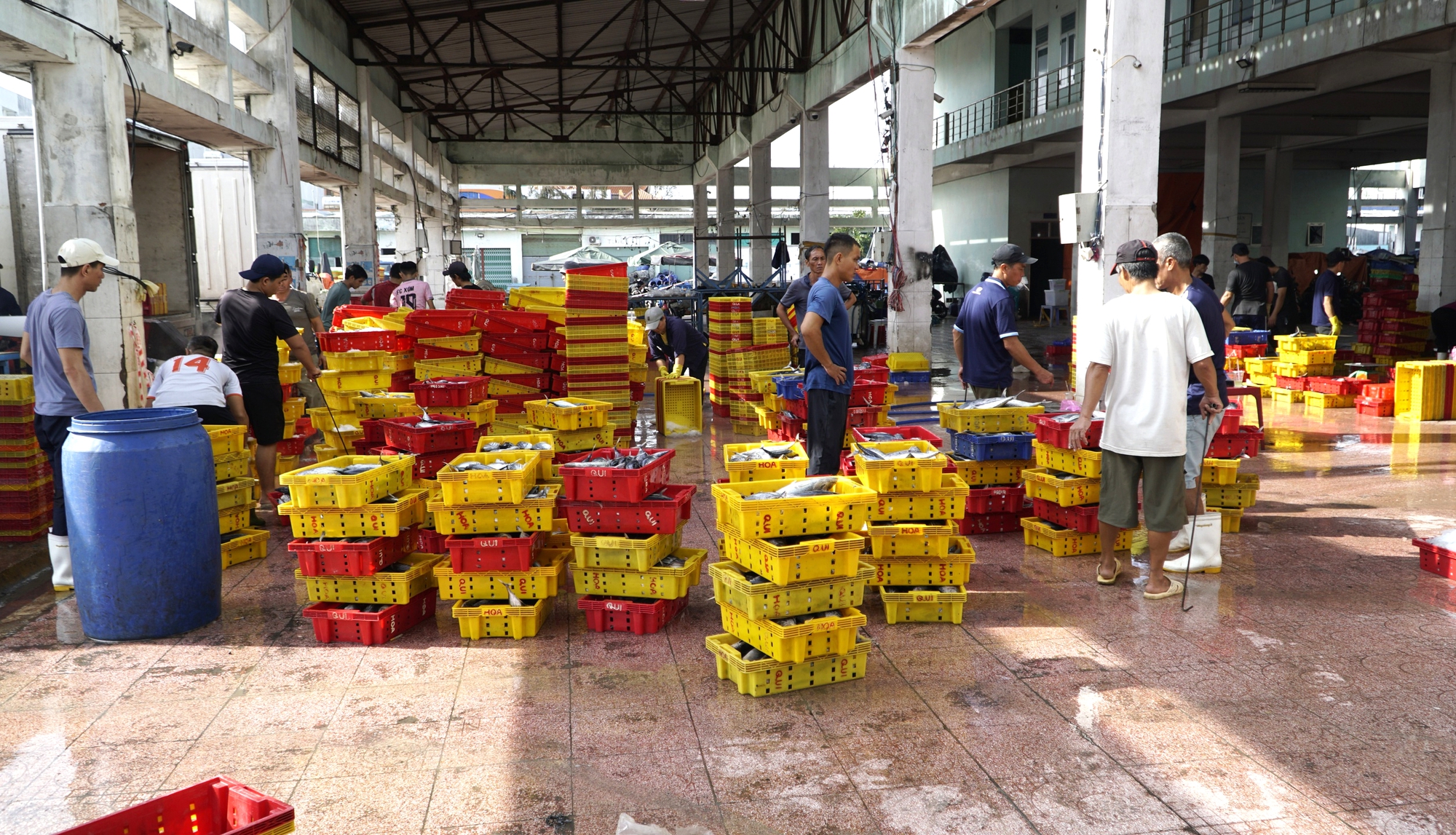 Sau bão dữ, ngư dân Gia Lai trở lại vươn khơi bám biển- Ảnh 5.