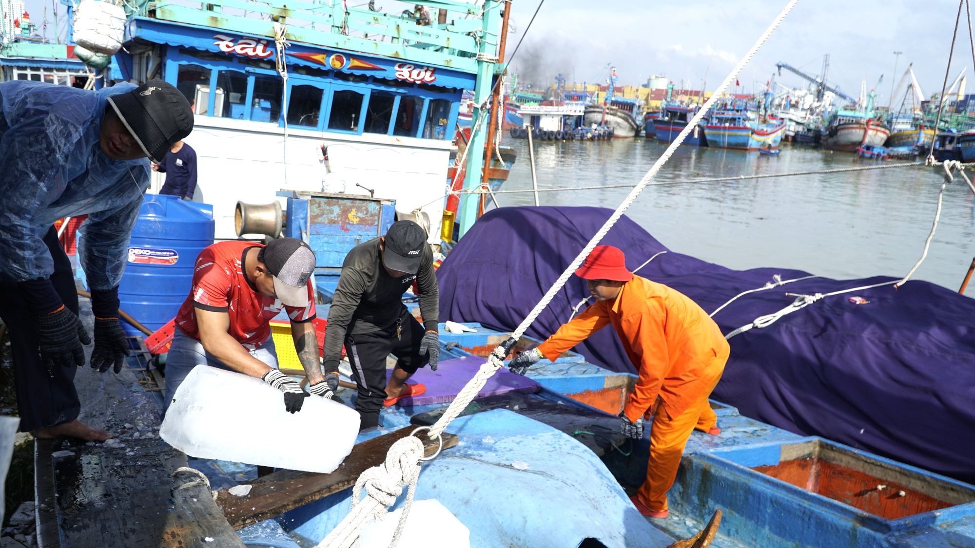 Sau bão dữ, ngư dân Gia Lai trở lại vươn khơi bám biển- Ảnh 14.