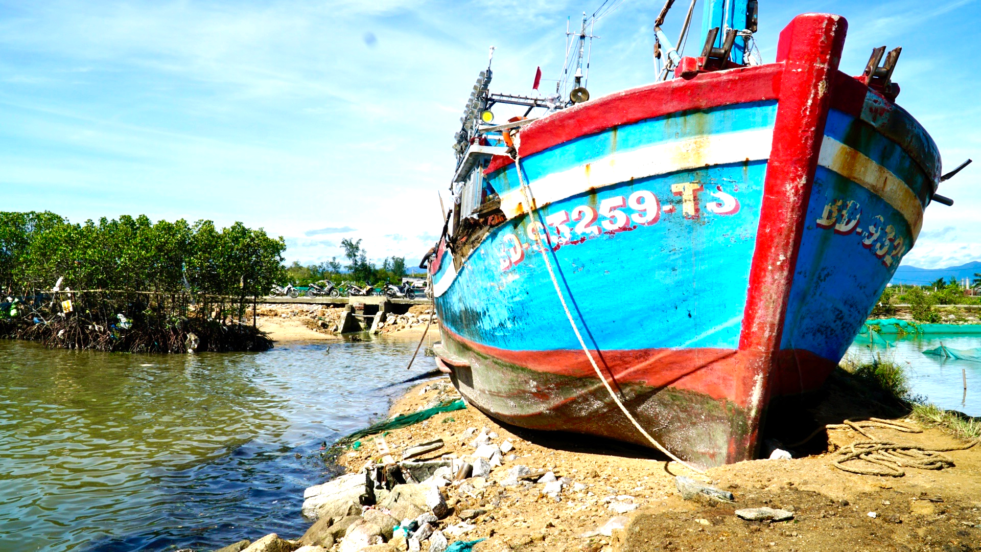 Sau bão dữ, ngư dân Gia Lai trở lại vươn khơi bám biển- Ảnh 8.