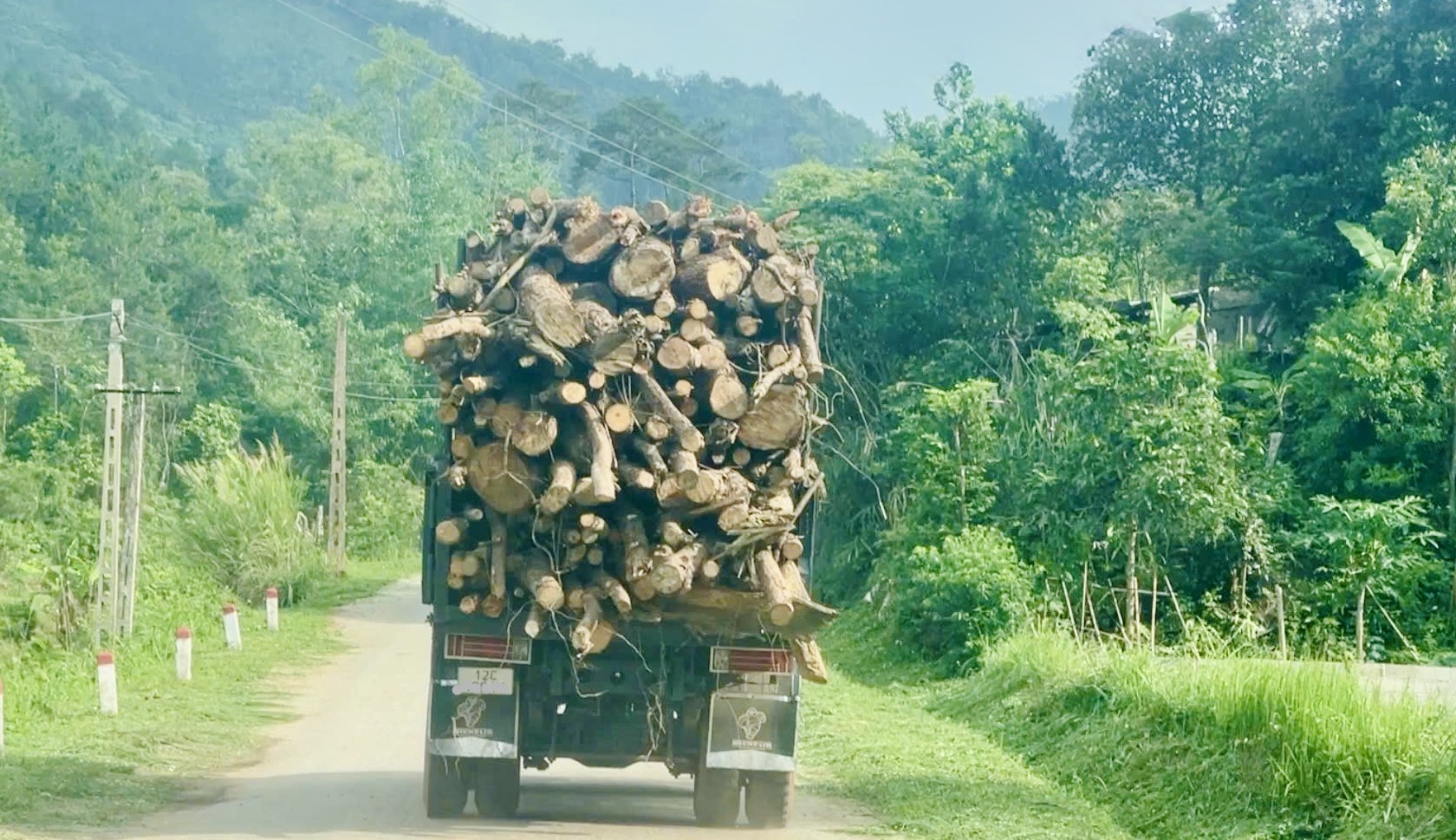 Lạng Sơn siết quản lý chiều cao xếp hàng hóa trên xe tải, container- Ảnh 1.
