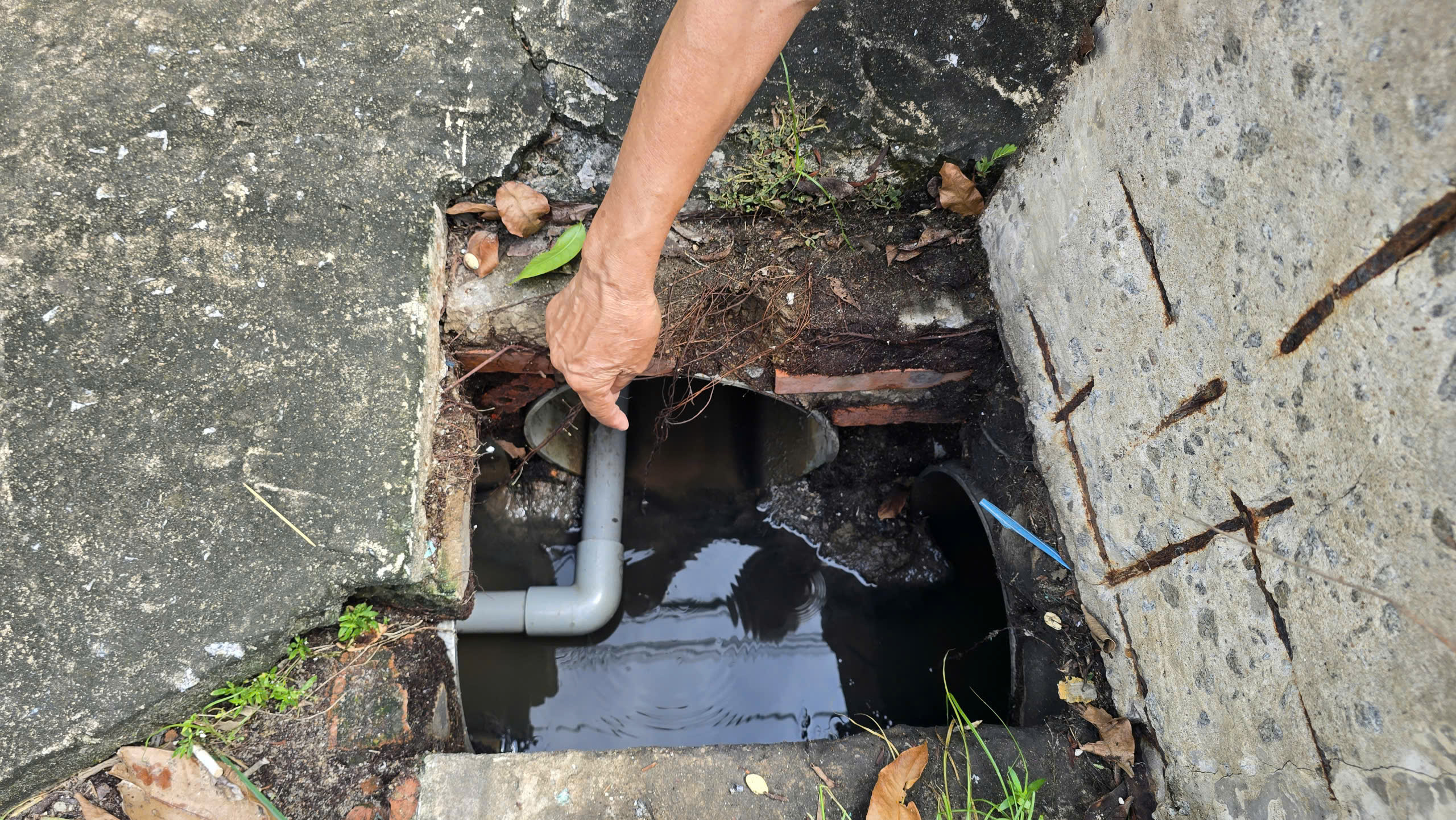 An Giang thông tin vụ nhà máy sản xuất nước mắm bị phản ánh gây ô nhiễm- Ảnh 5. An Giang thông tin vụ nhà máy sản xuất nước mắm bị phản ánh gây ô nhiễm- Ảnh 5.