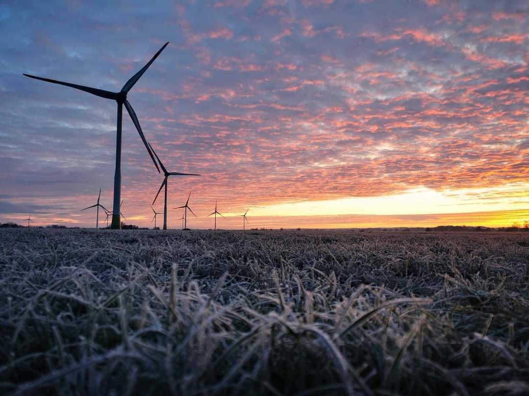 Băn khoăn việc giảm mạnh điện gió, ưu tiên điện than, đơn vị điều hành nói gì?- Ảnh 1. Băn khoăn việc giảm mạnh điện gió, ưu tiên điện than, đơn vị điều hành nói gì?- Ảnh 1.