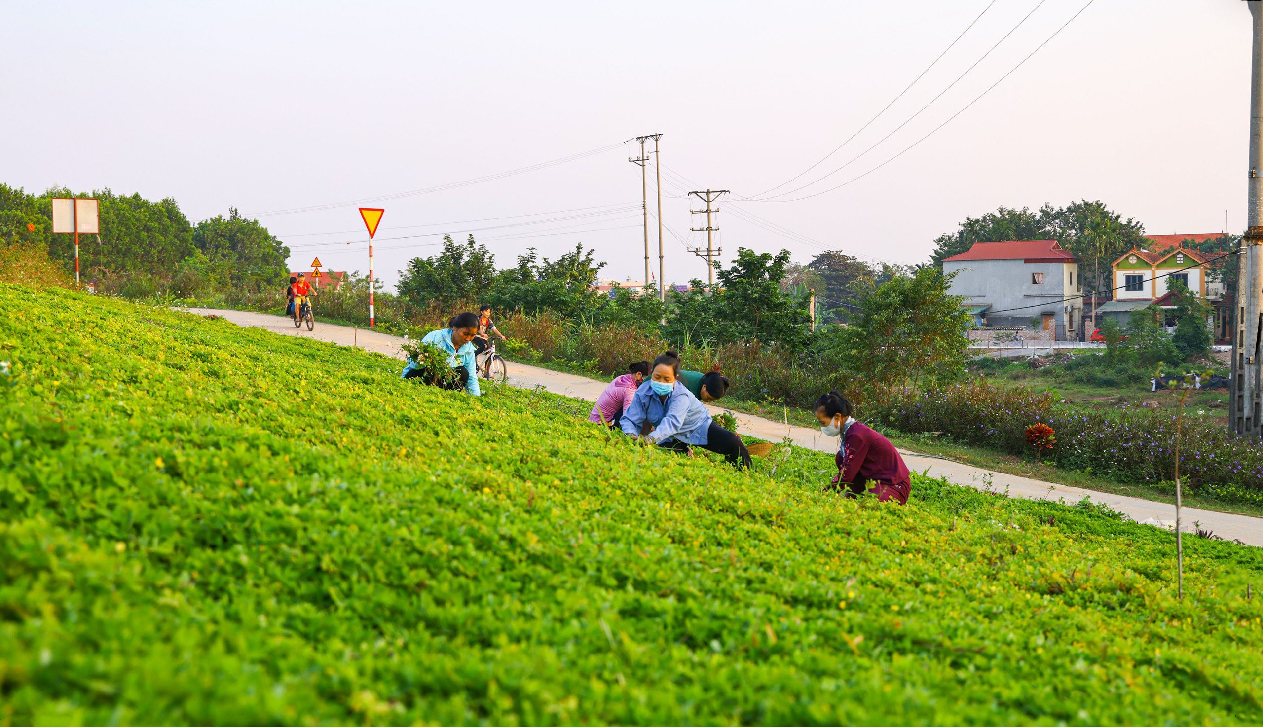 Hiệu quả cuộc vận động Toàn dân đoàn kết xây dựng nông thôn mới, đô thị văn minh ở Phú Thọ- Ảnh 3.