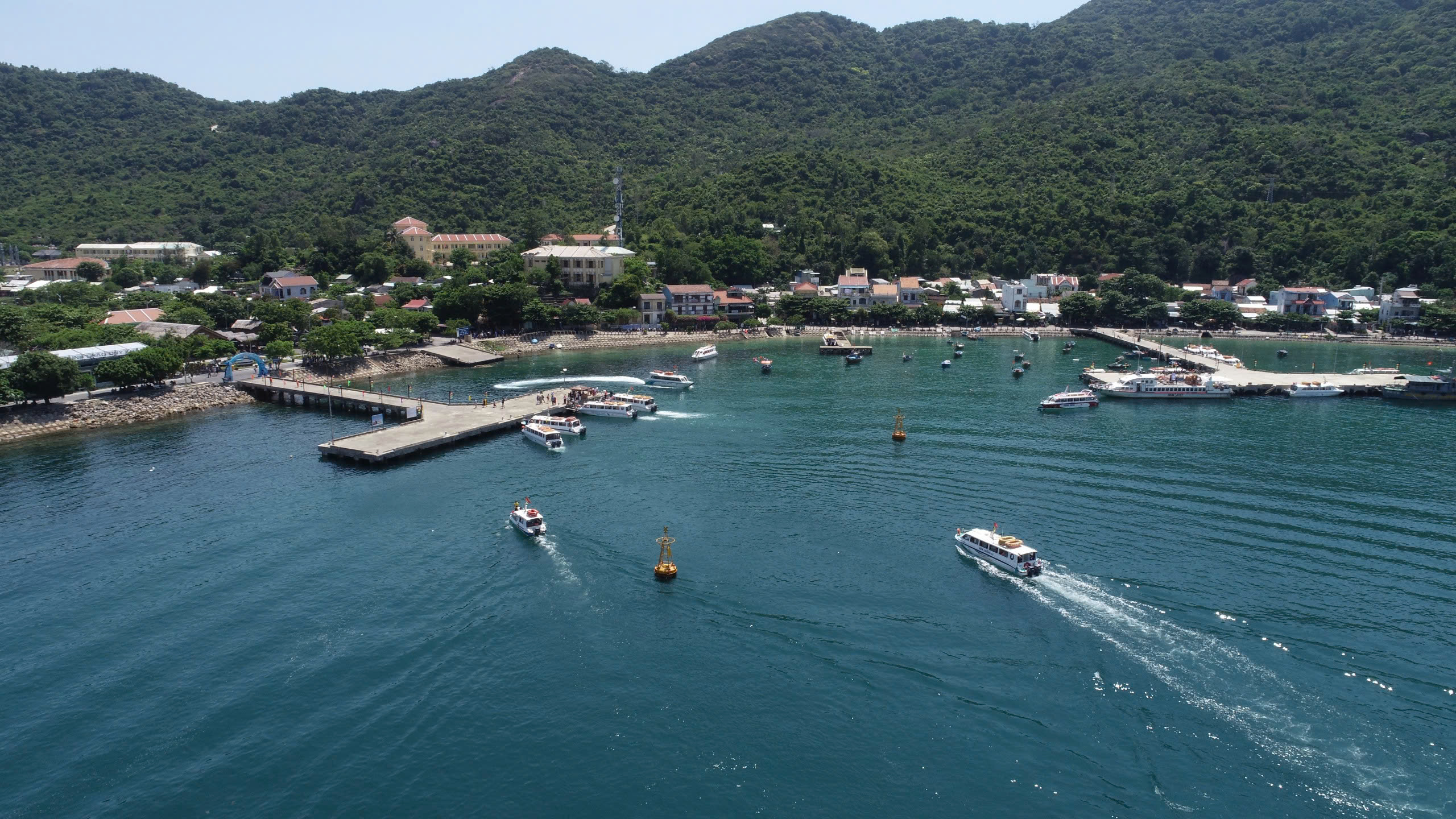 Cảng vụ Đà Nẵng và doanh nghiệp vận tải thủy bàn cách tối ưu tuyến Cửa Đại - Cù Lao Chàm- Ảnh 4.